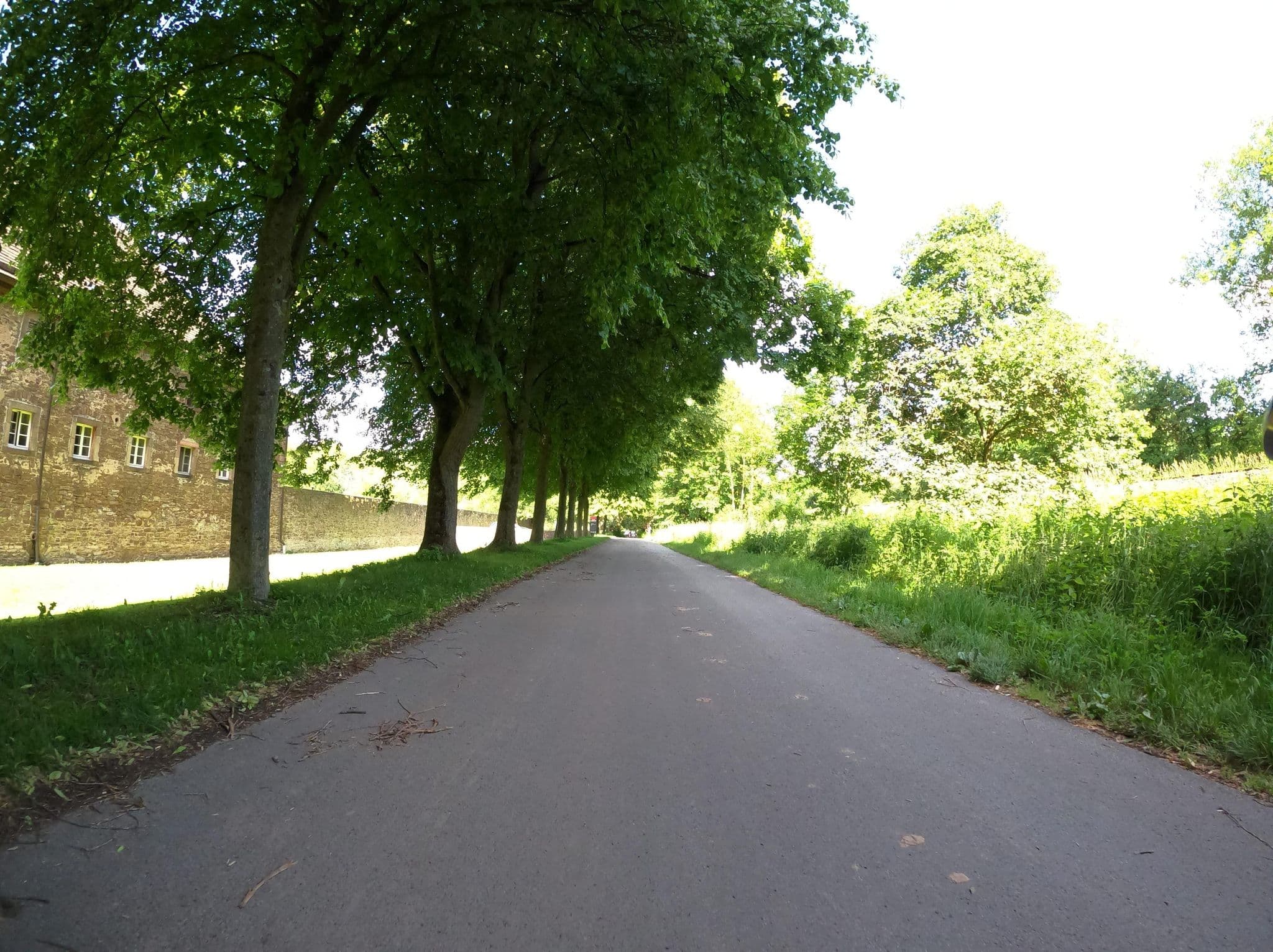 Street view near Weser AktivHotel Corvey, Höxter — © Langfahrer (CC BY-SA · Mapillary)