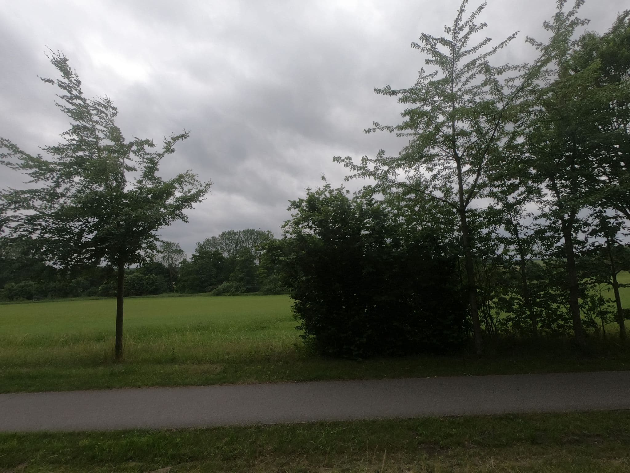 Street view near Ostsee Hotel-Pension an der Lindenallee, Bad Doberan — © carlheinz (CC BY-SA · Mapillary)