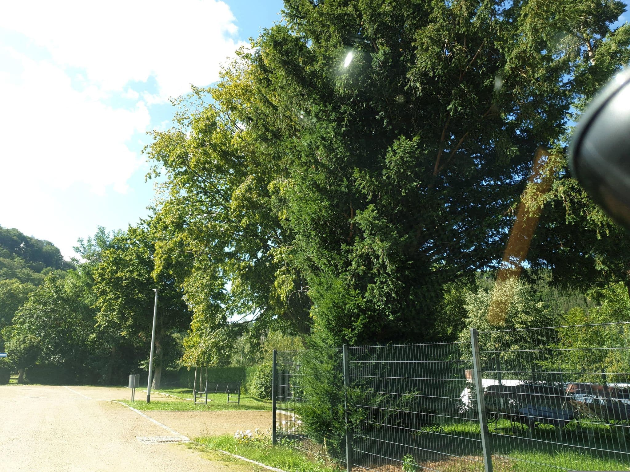 Street view near Hotel SchwarzaBurg, Sitzendorf — © canislupus (CC BY-SA · Mapillary)