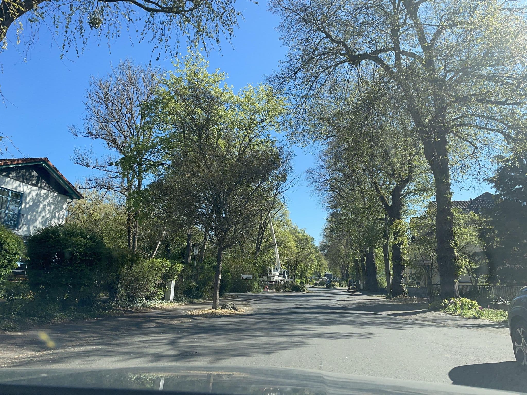 Street view near Pension Wiesenau, Nidda — © baldur80 (CC BY-SA · Mapillary)