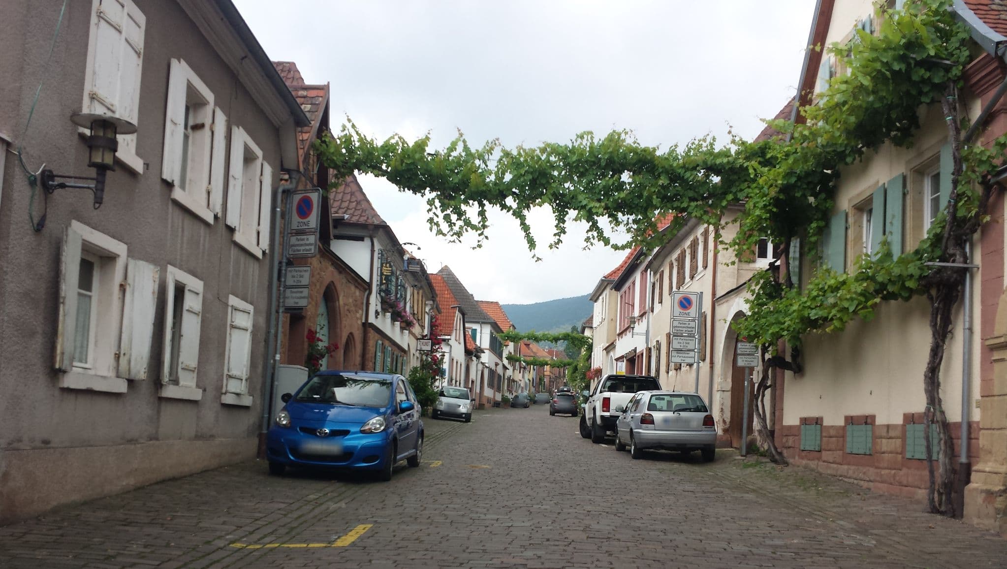 Street view near Weingut und Gästehaus Seelos, Rhodt unter Rietburg — © wegavision (CC BY-SA · Mapillary)