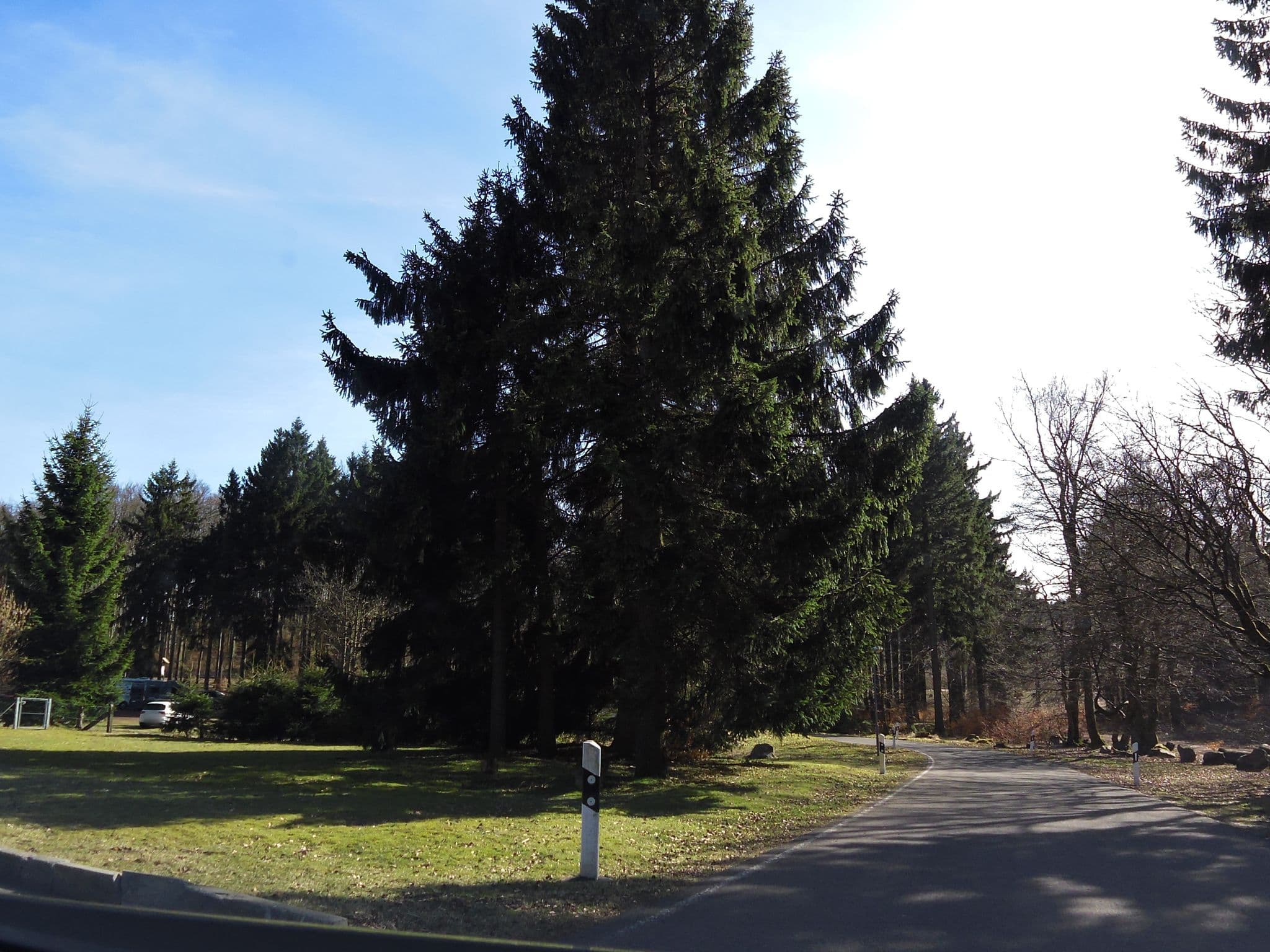 Street view near Waldhotel Rennsteighof, Ruhla — © zoegglmeyr (CC BY-SA · Mapillary)