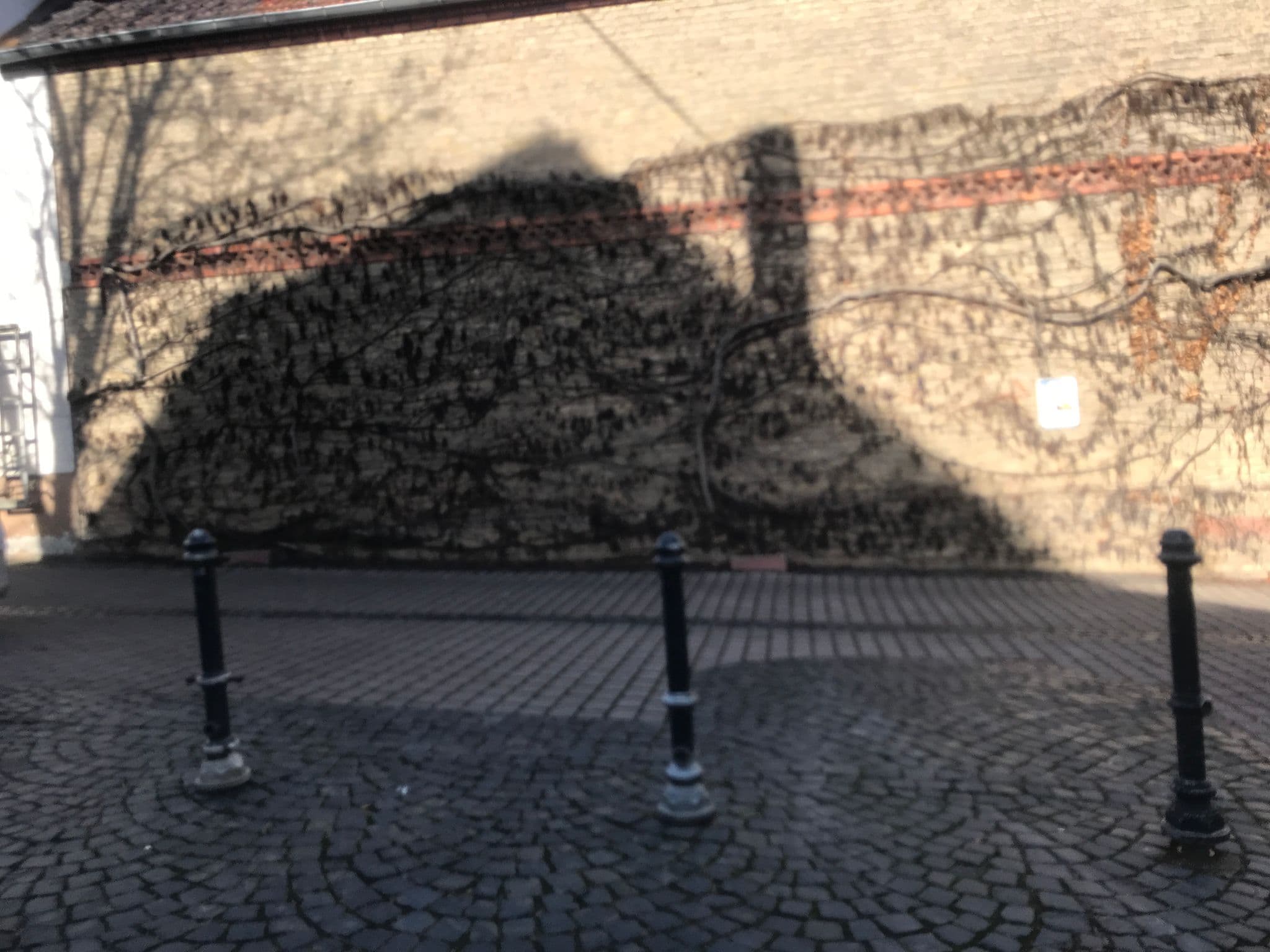 Street view near Hotel Alter Hof, Nordenstadt — © miguel_andrade (CC BY-SA · Mapillary)