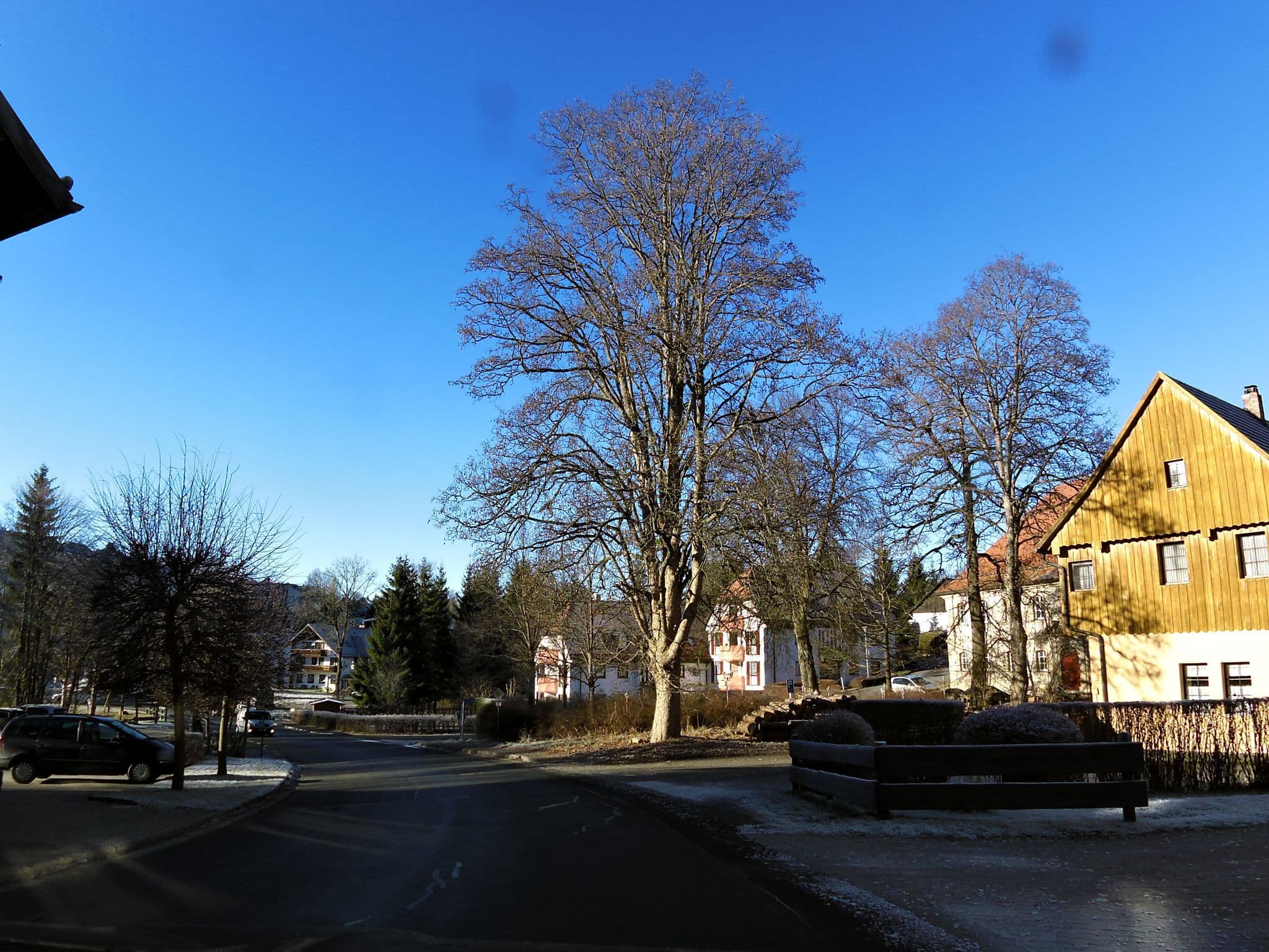Street view near Gasthof Wiesengrund, Bischofsgrün — © zoegglmeyr (CC BY-SA · Mapillary)