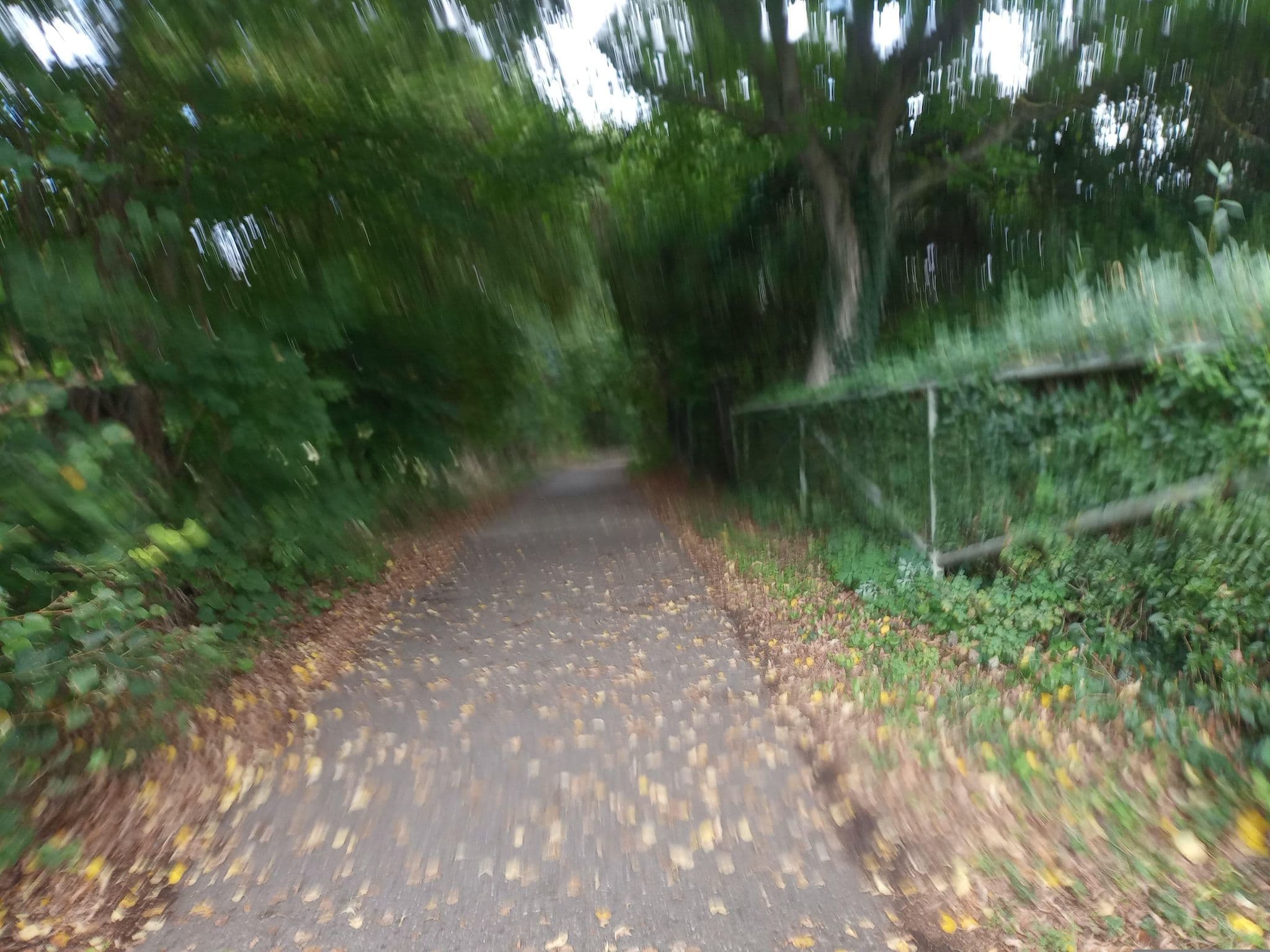 Street view near Landhotel Grober's Reiterhof, Freyburg — © natura (CC BY-SA · Mapillary)