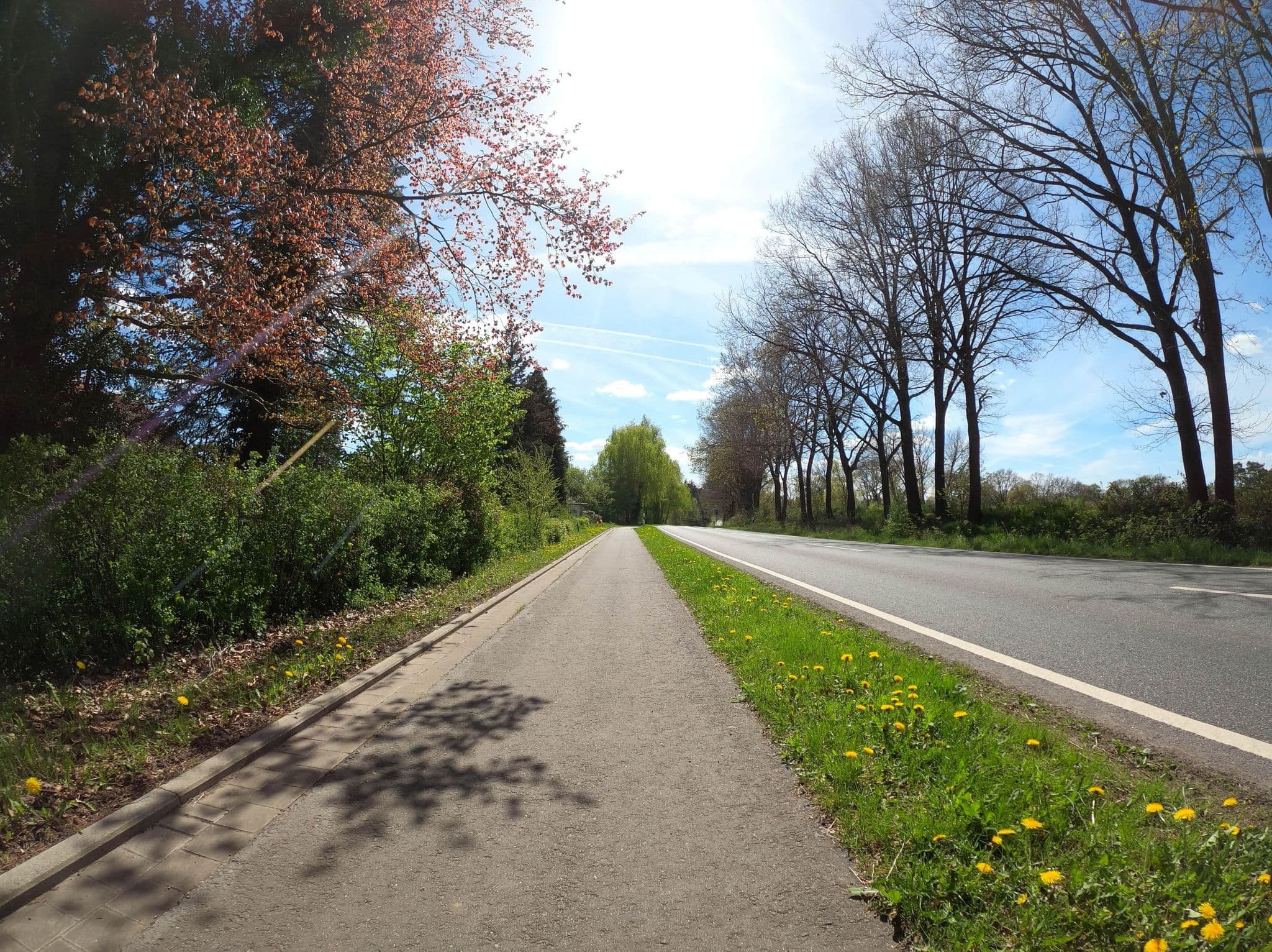 Street view near Hof Düshop, Bad Fallingbostel — © Langfahrer (CC BY-SA · Mapillary)