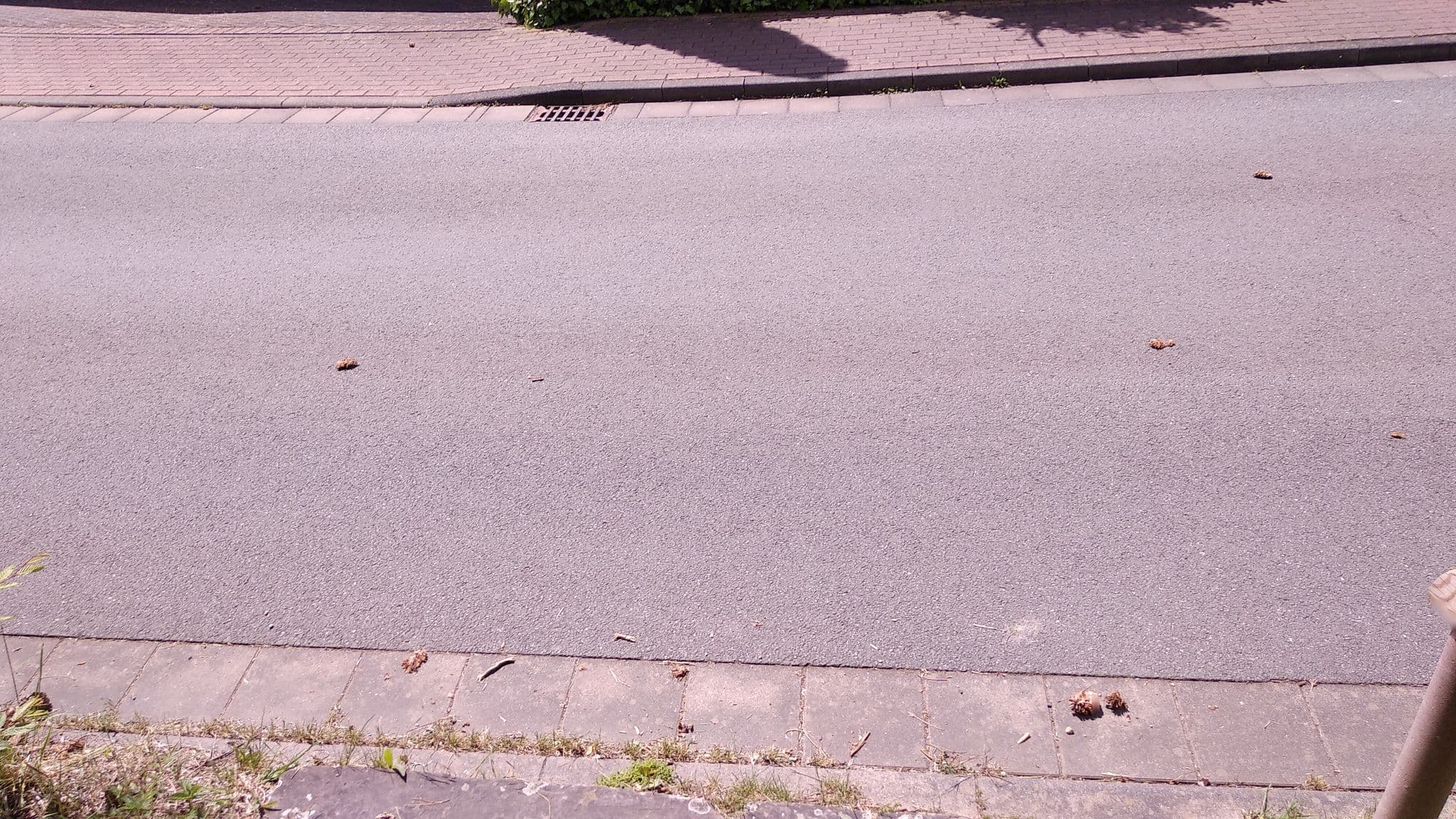 Street view near Hotel Pension Resi, Beverungen — © steinm (CC BY-SA · Mapillary)