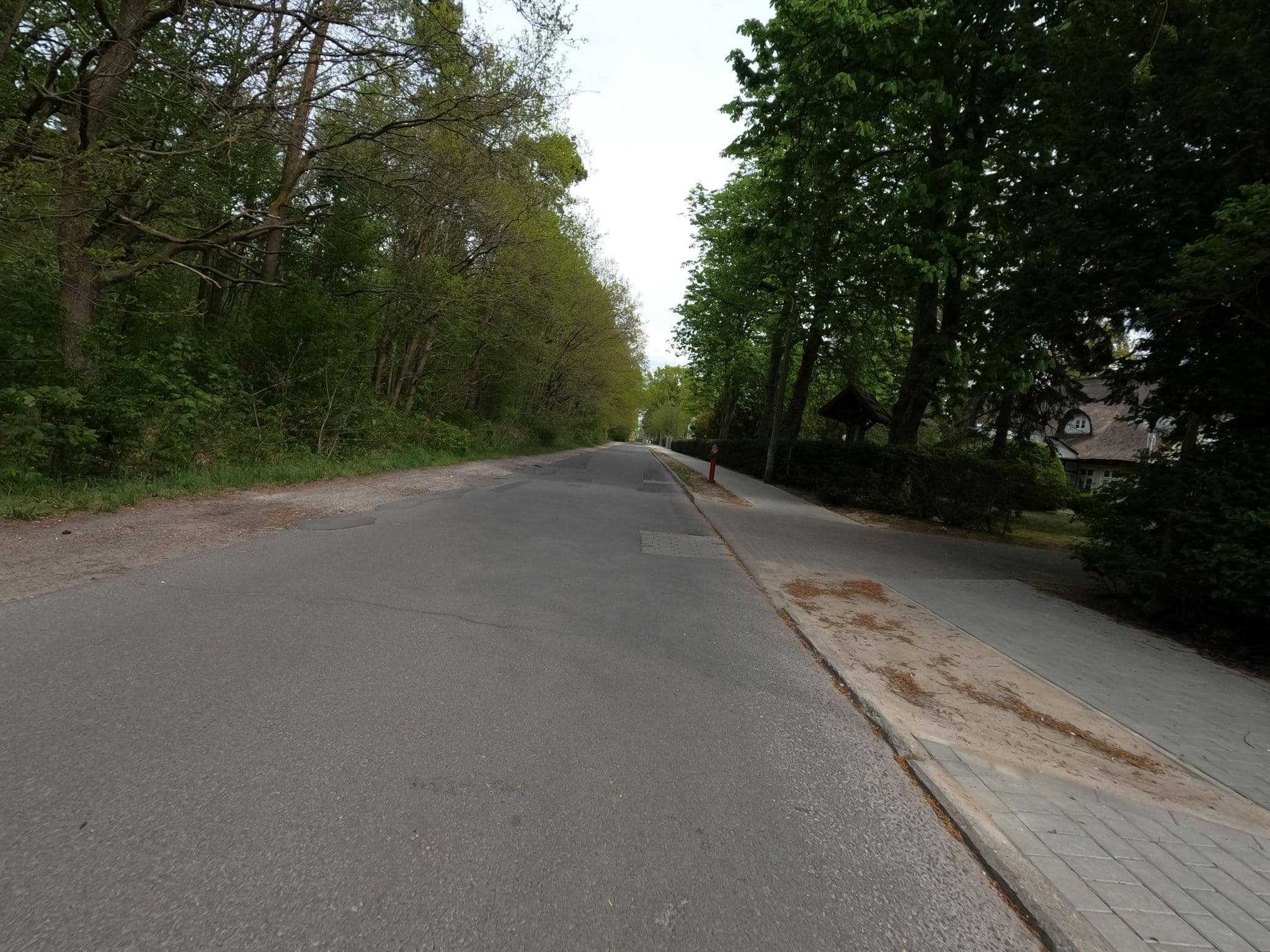 Street view near Fewo Eichenpark, Ostseebad Prerow — © hektor1989 (CC BY-SA · Mapillary)