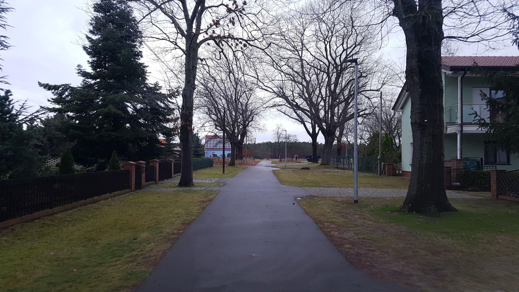 Street view near Pension am Hasenberg, Tauche — © dsmm (CC BY-SA · Mapillary)