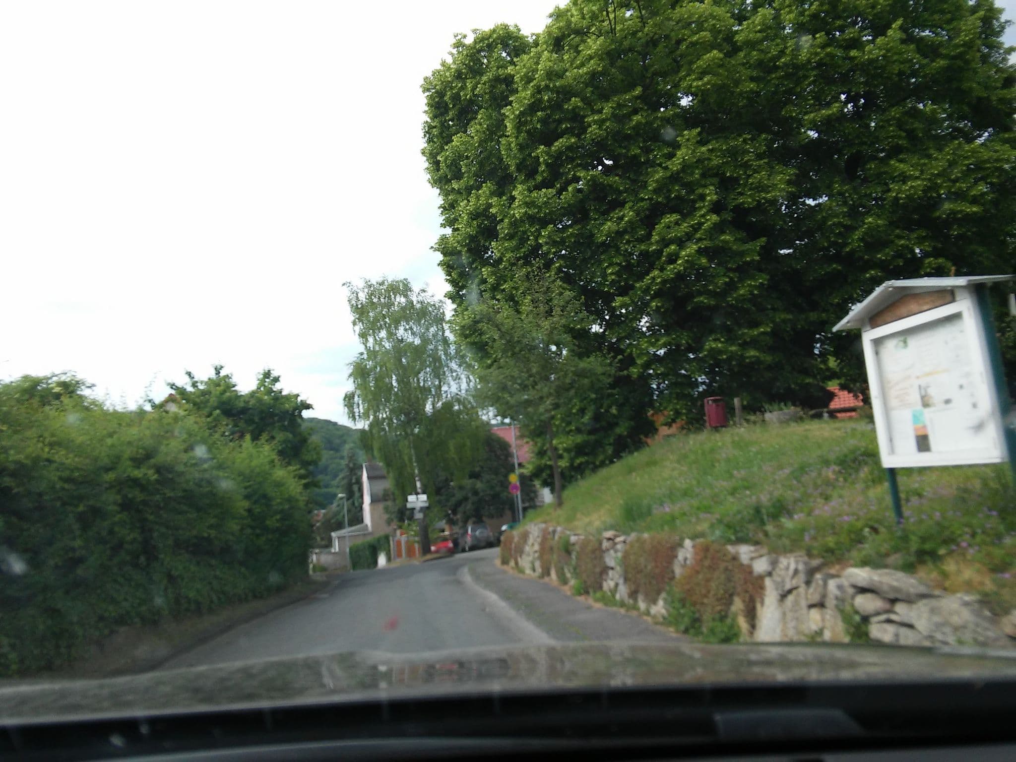 Street view near Zum Frauenberg, Sondershausen — © escada (CC BY-SA · Mapillary)