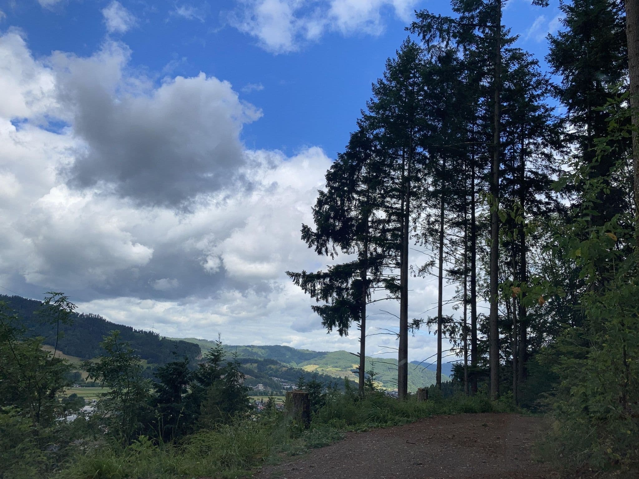 Street view near Zur Schwarzkopfhütte, Haslach im Kinzigtal — © tasmaniadevil (CC BY-SA · Mapillary)