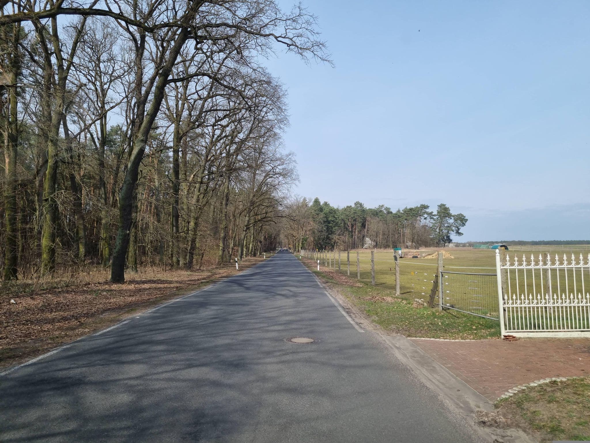 Street view near Pension Waldhaus, Beelitz — © dsmm (CC BY-SA · Mapillary)