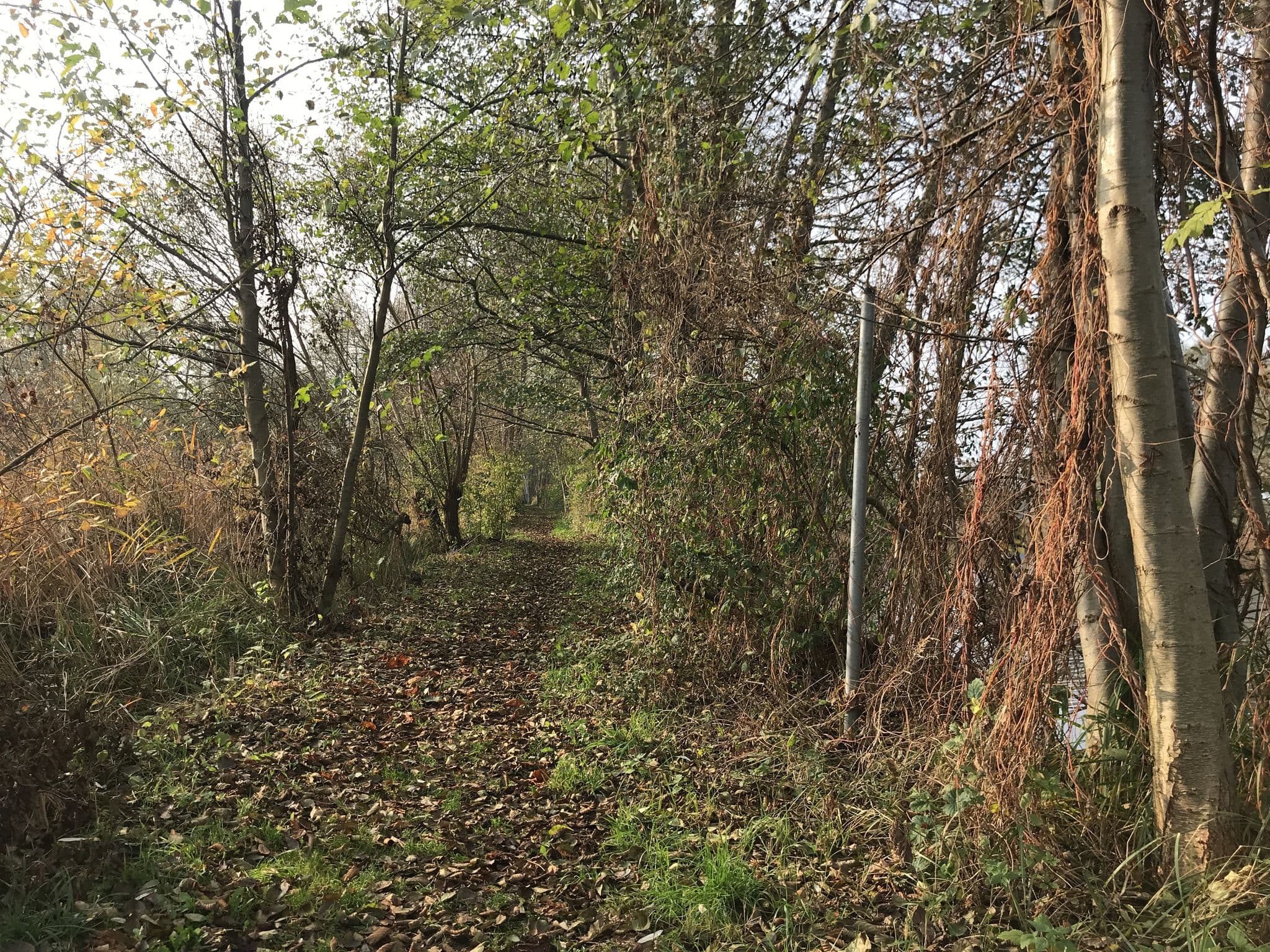 Street view near Wasserwanderrastplatz Finowfurt, Melchow — © dl7auq (CC BY-SA · Mapillary)