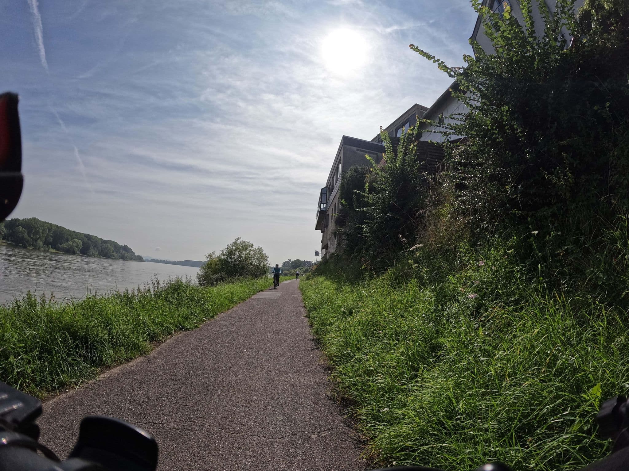 Street view near Rheinterrassen, Niederkassel — © countzero5 (CC BY-SA · Mapillary)