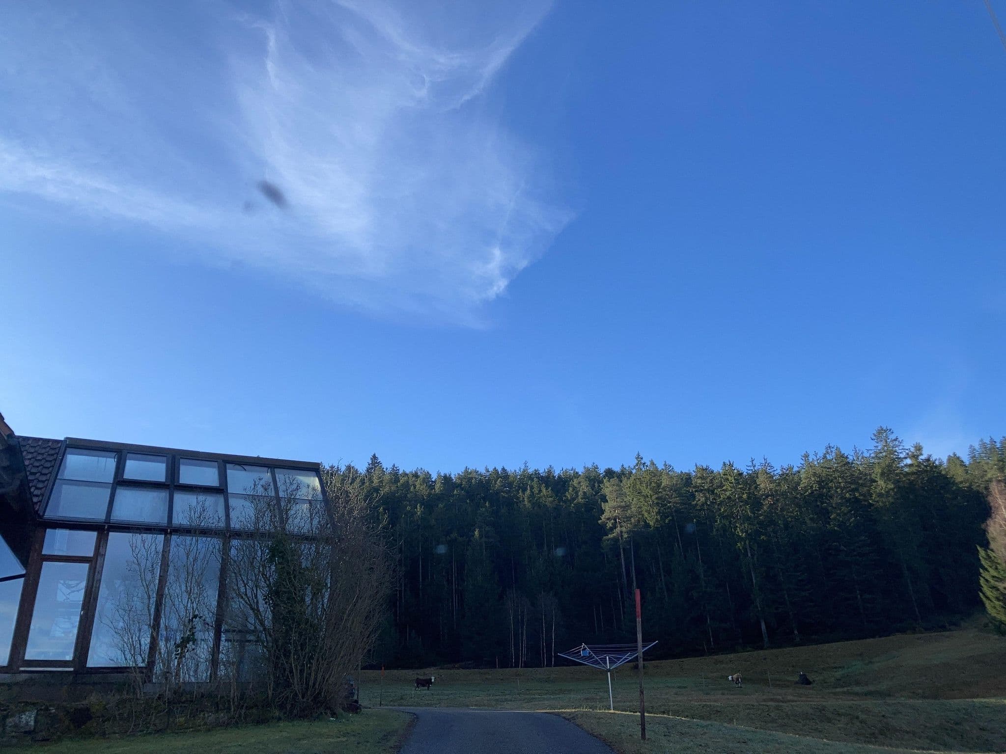 Street view near Bio-Hof Buchholz, Lauterbach/Schwarzwald — © tasmaniadevil (CC BY-SA · Mapillary)