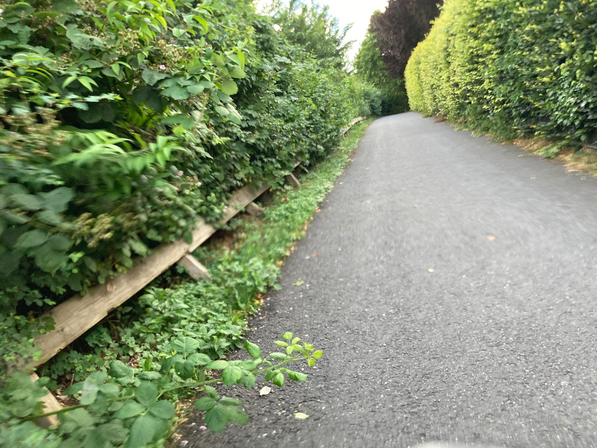 Street view near Wassersportverein Verden e.V., Verden — © hutberger (CC BY-SA · Mapillary)