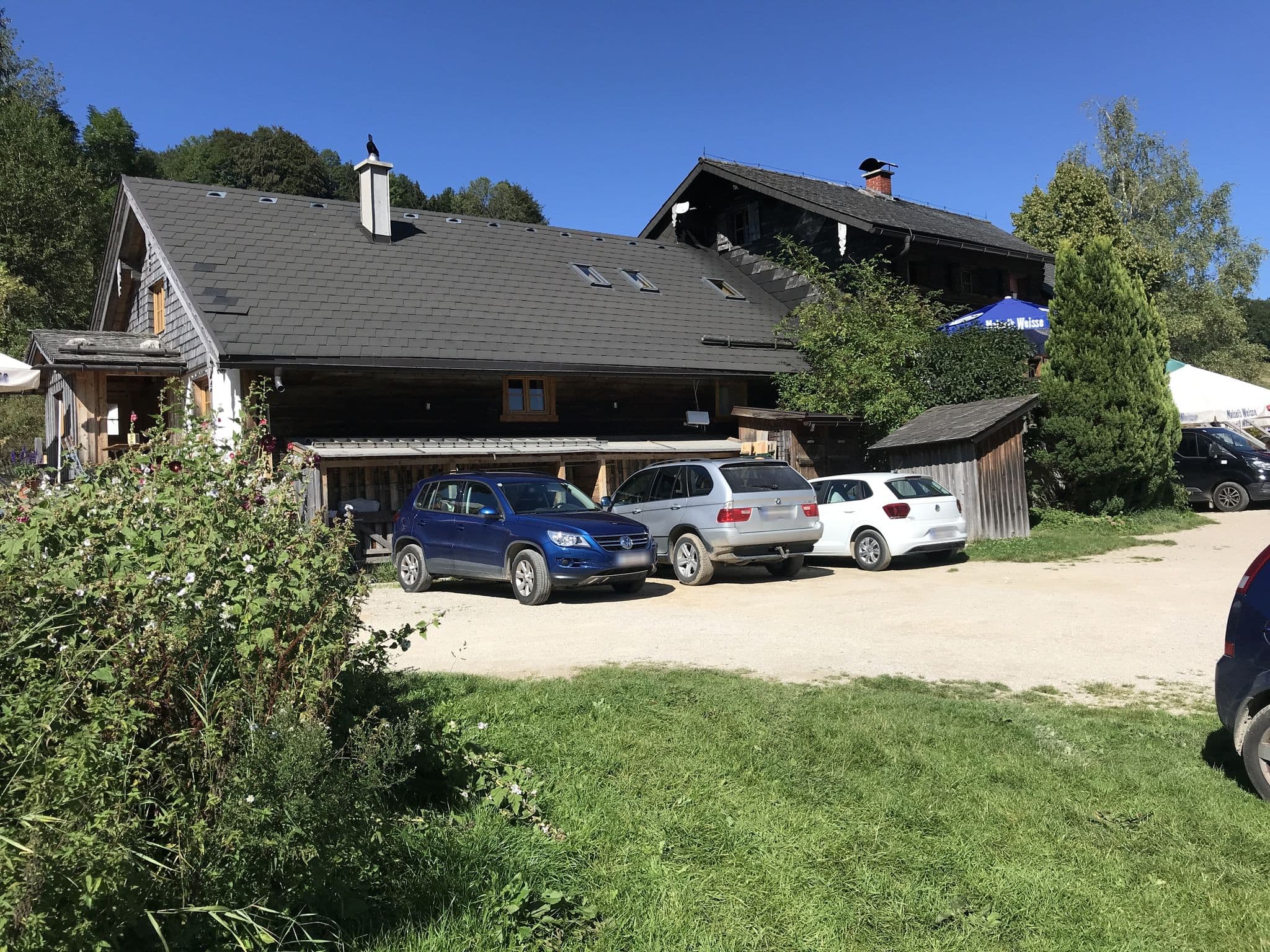 Street view near Buchberghütte, Sankt Wolfgang im Salzkammergut — © flocki (CC BY-SA · Mapillary)
