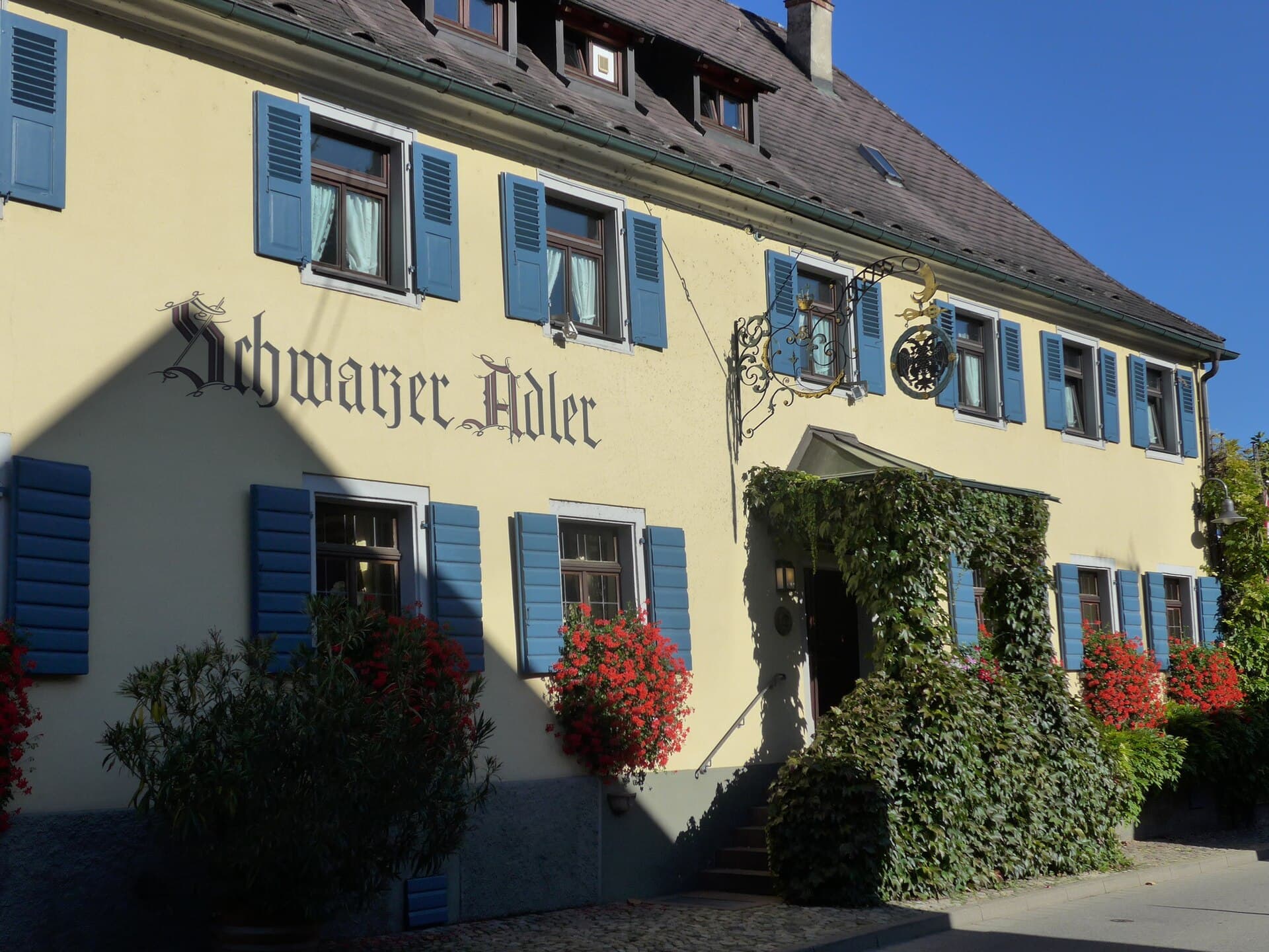 Schwarzer Adler (via Wikimedia Commons, CC BY-SA 3.0)