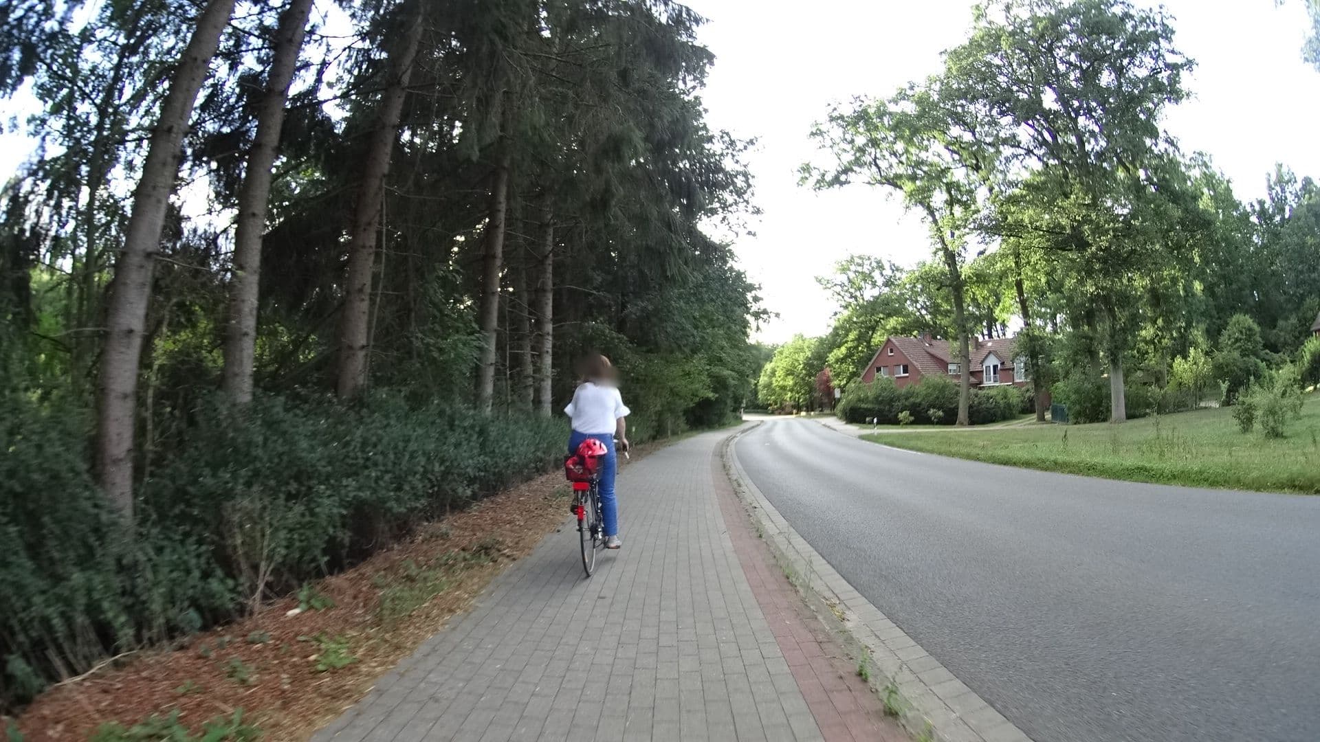 Street view near Jobenshof Ferienhaus, Handeloh — © sashazykov (CC BY-SA · Mapillary)