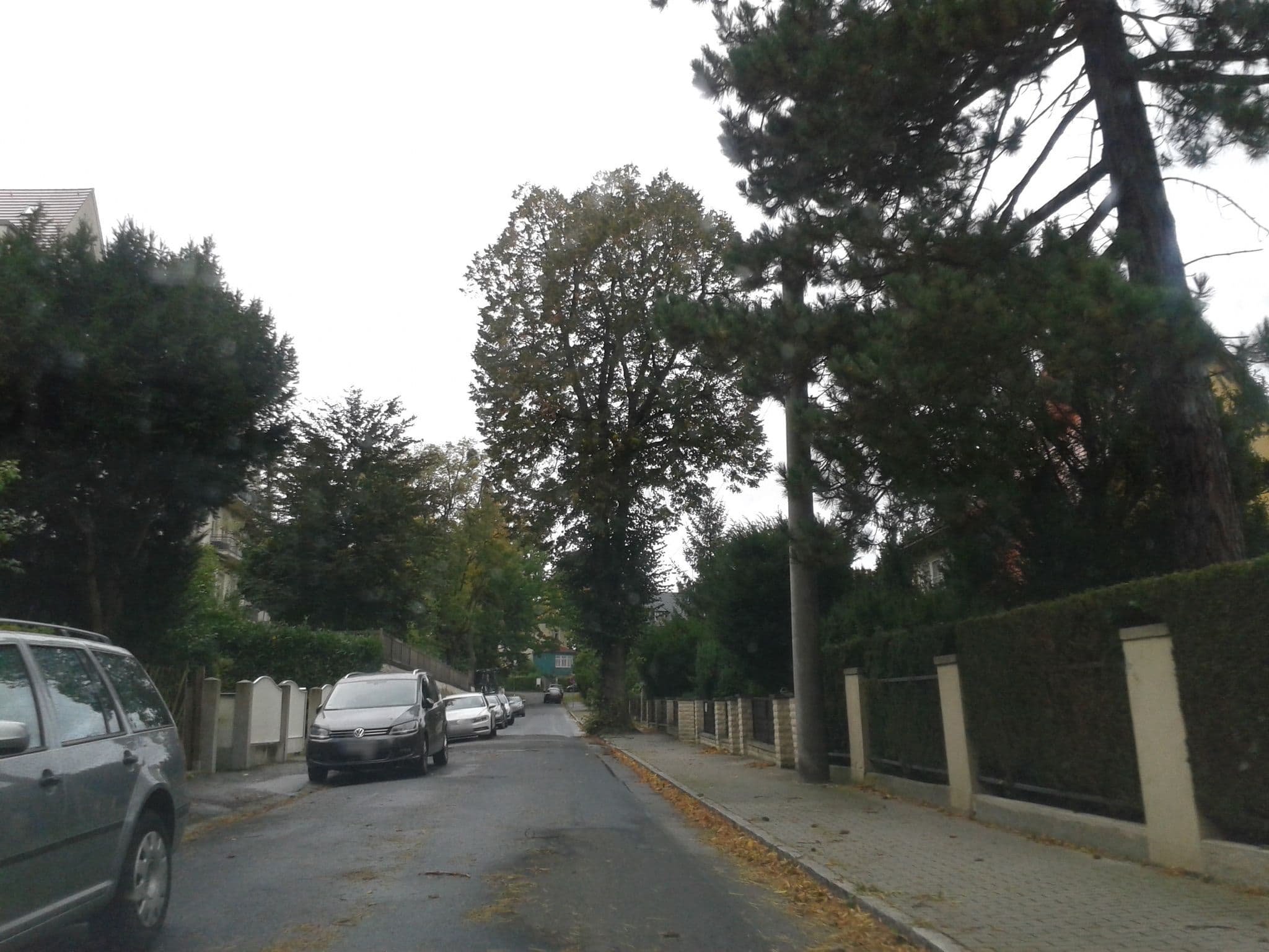 Street view near Ferienwohnung DresdenBlick, Loschwitz — © thomas (CC BY-SA · Mapillary)