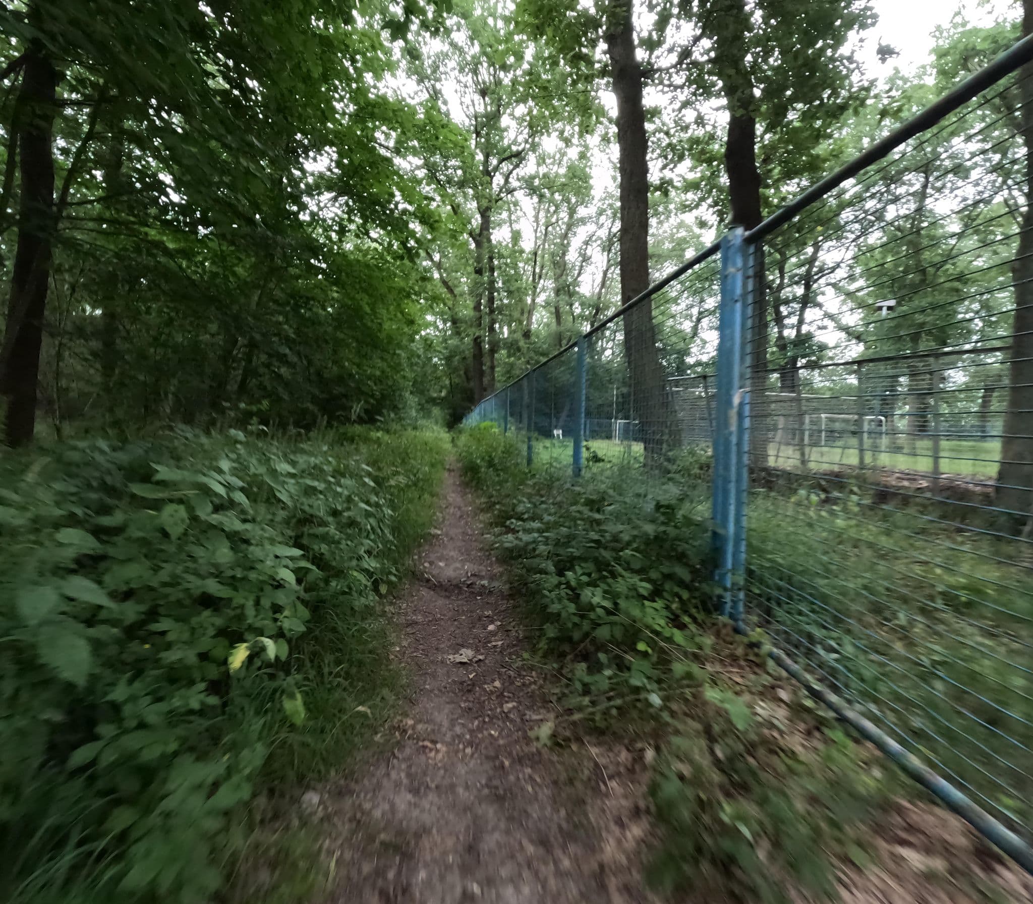 Street view near Bootshaus Burghausen, Schkeuditz — © kopra (CC BY-SA · Mapillary)