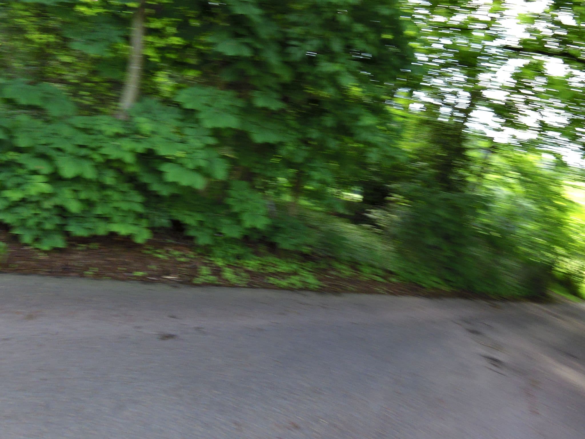 Street view near Pension Zuber, Friedrichroda — © zoegglmeyr (CC BY-SA · Mapillary)