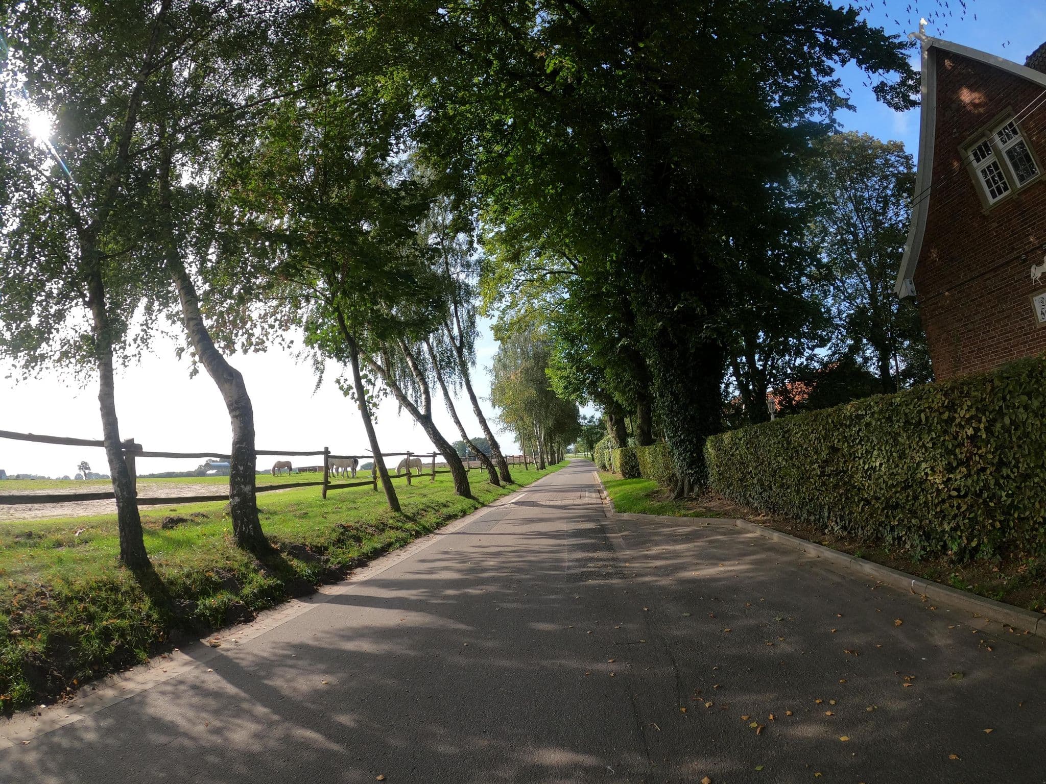 Street view near Reiterhotel Vox, Eggermühlen — © VIA_KK (CC BY-SA · Mapillary)