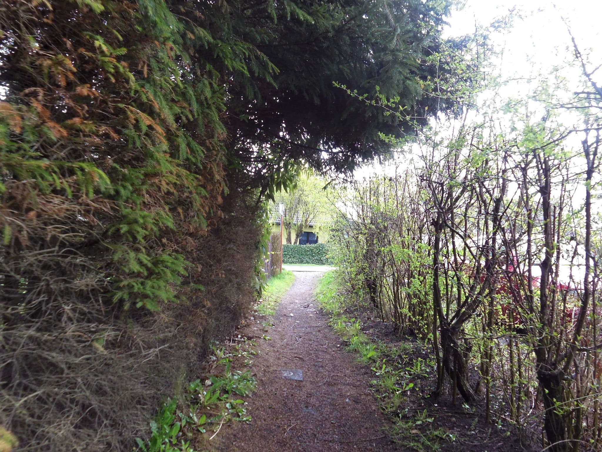 Street view near Ferienhaus Ankalath, Zingst — © zoegglmeyr (CC BY-SA · Mapillary)