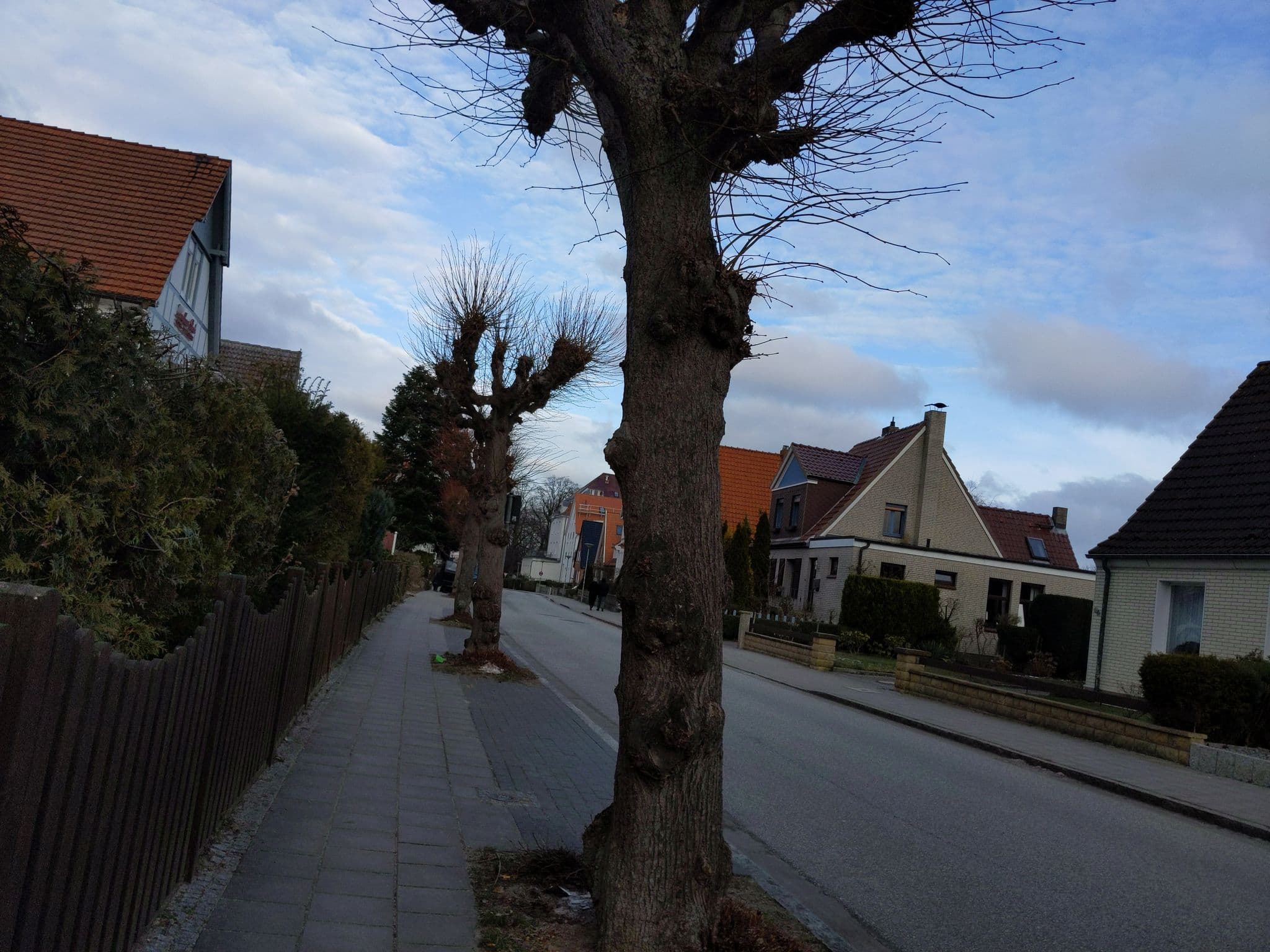Street view near Landhaus Bode, Travemünde