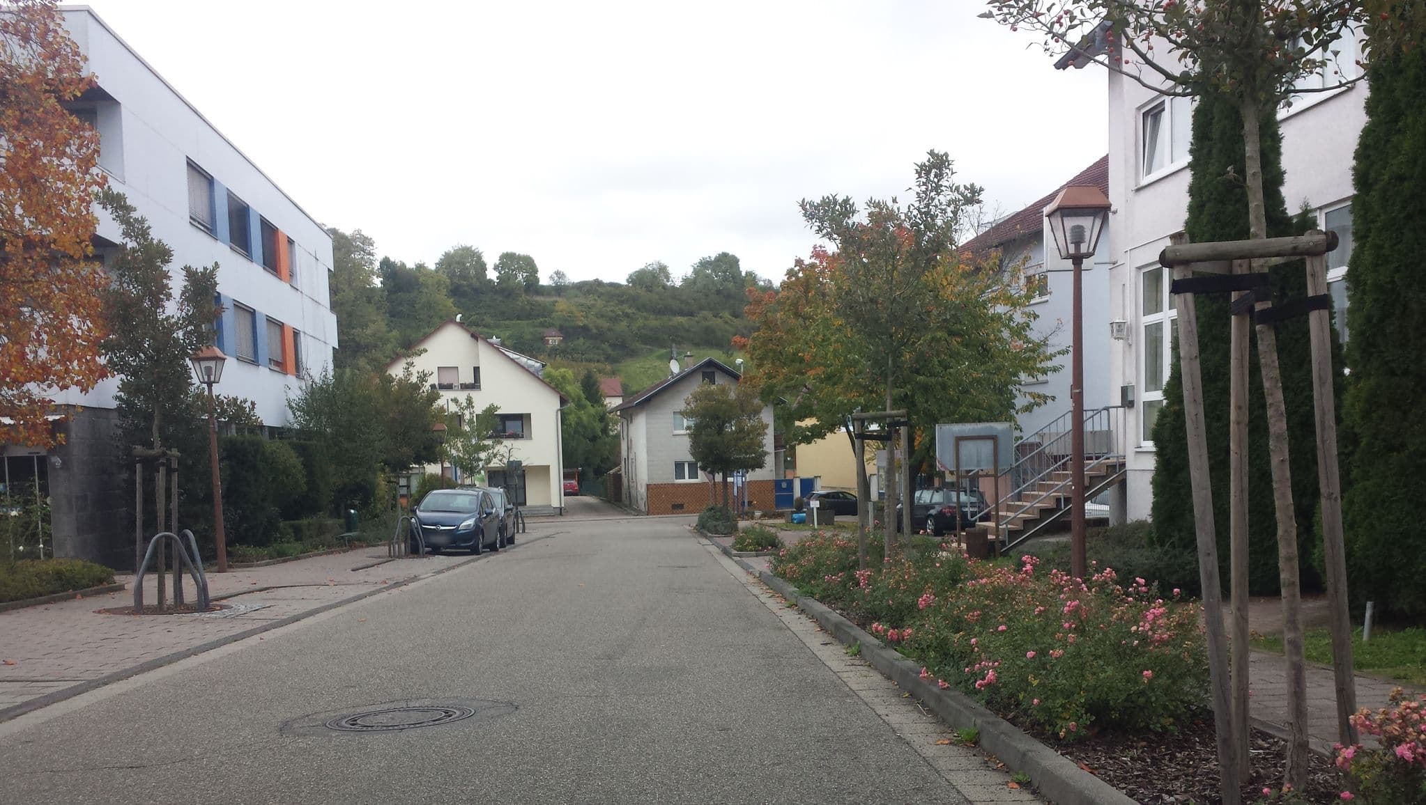 Street view near Leo, Rauenberg — © wegavision (CC BY-SA · Mapillary)