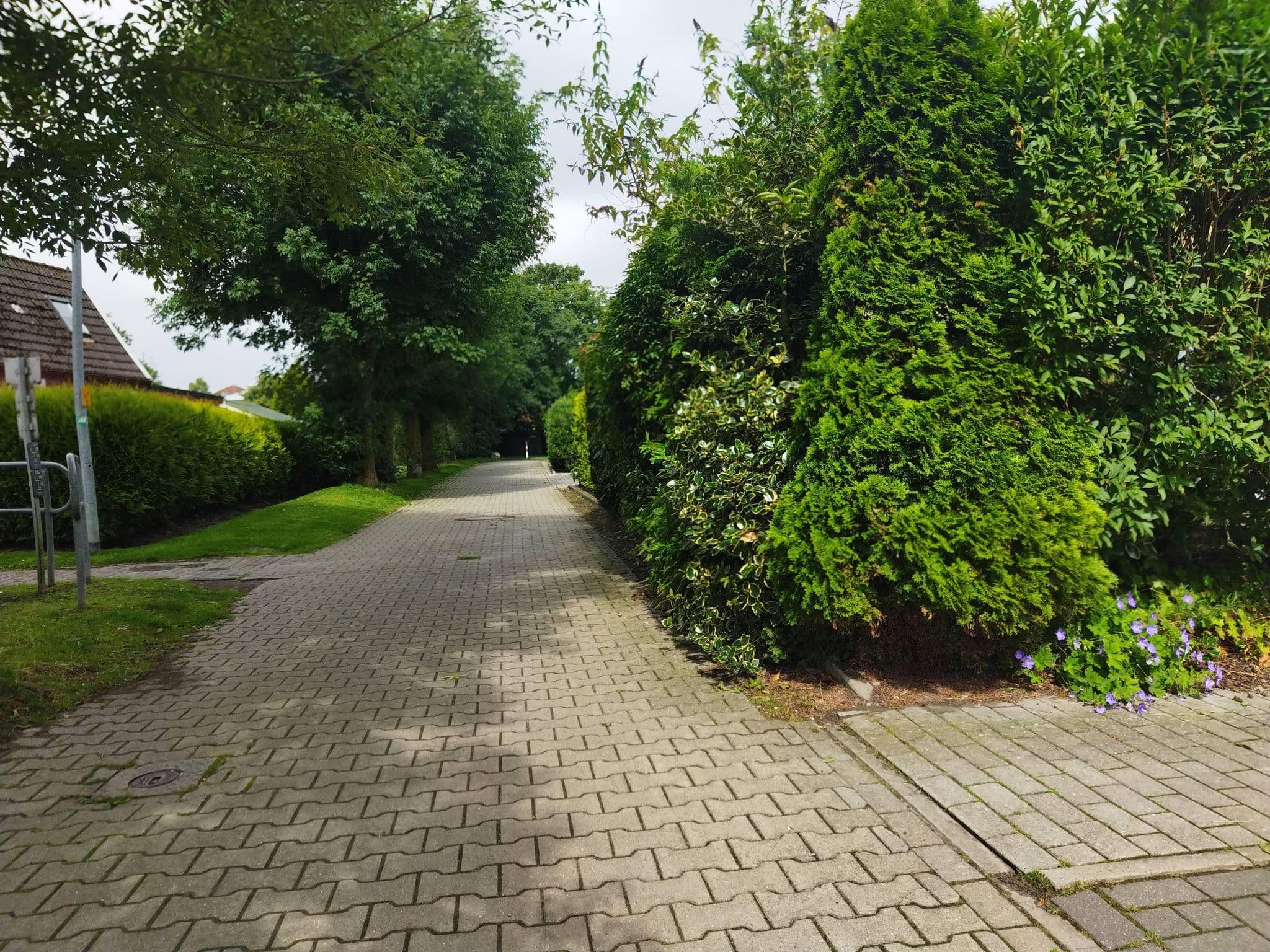 Street view near Ahoi, Greetsiel — © changchun1 (CC BY-SA · Mapillary)