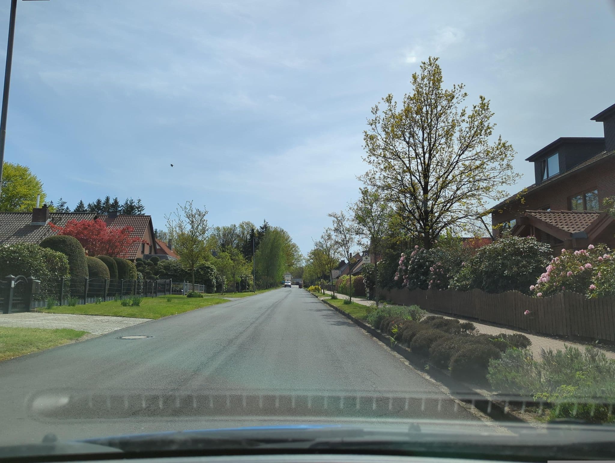 Street view near Hotel Bockelmann, Bispingen — © hotteliene (CC BY-SA · Mapillary)
