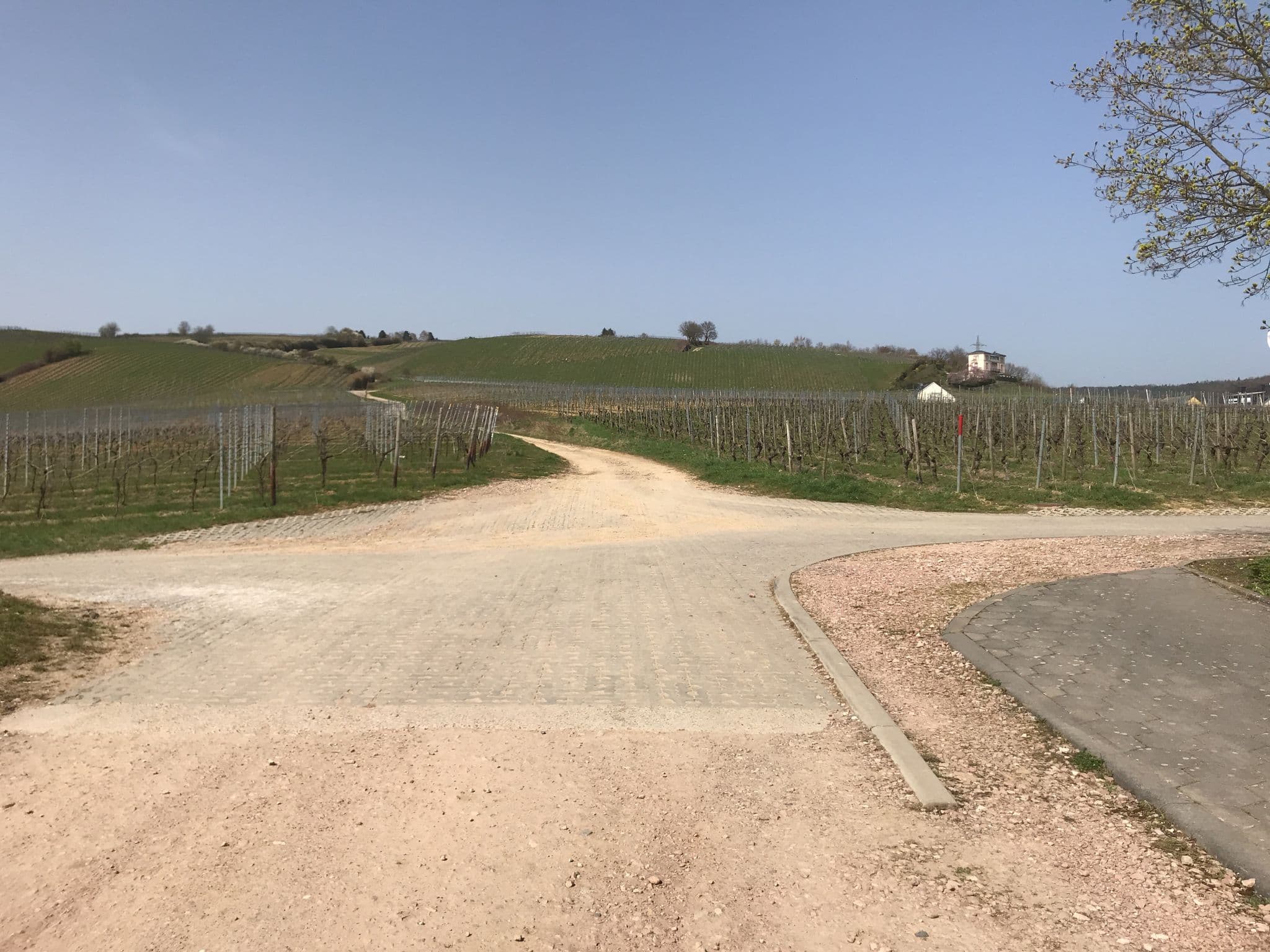 Street view near Stellplatz Weingut Engelmann, Eltville — © miguel_andrade (CC BY-SA · Mapillary)