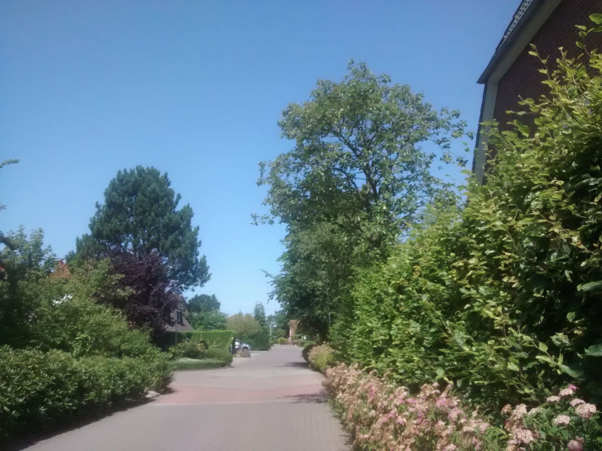 Street view near Haus Friesia, Varel — © 48d9dc (CC BY-SA · Mapillary)