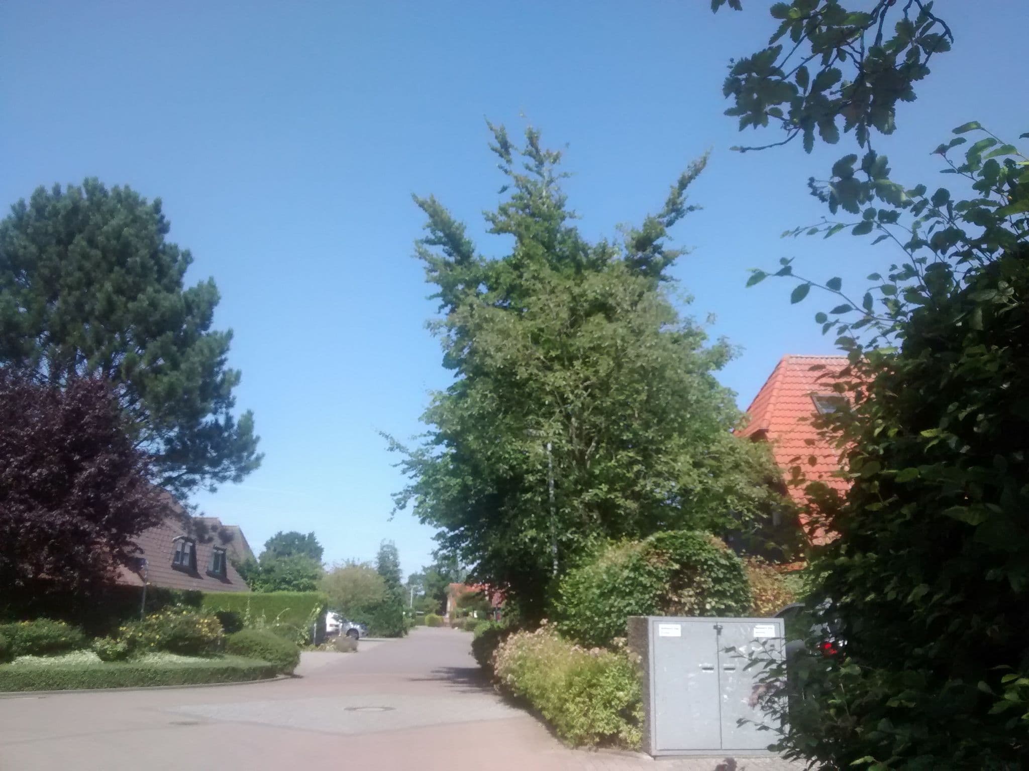 Street view near Haus Marcus, Varel — © 48d9dc (CC BY-SA · Mapillary)