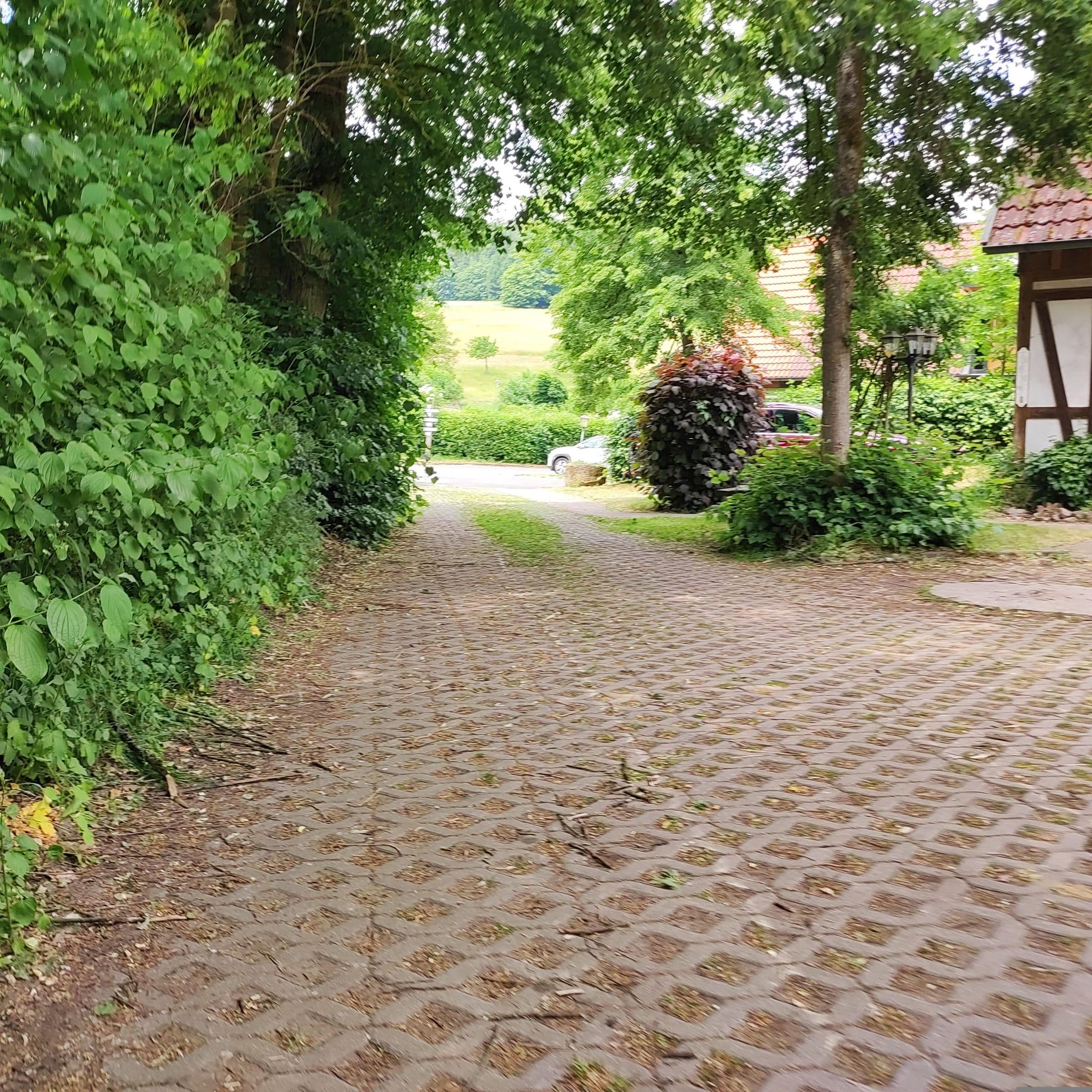 Street view near Ferienhäuser "zur Schäferei", Mitwitz — © msdess (CC BY-SA · Mapillary)