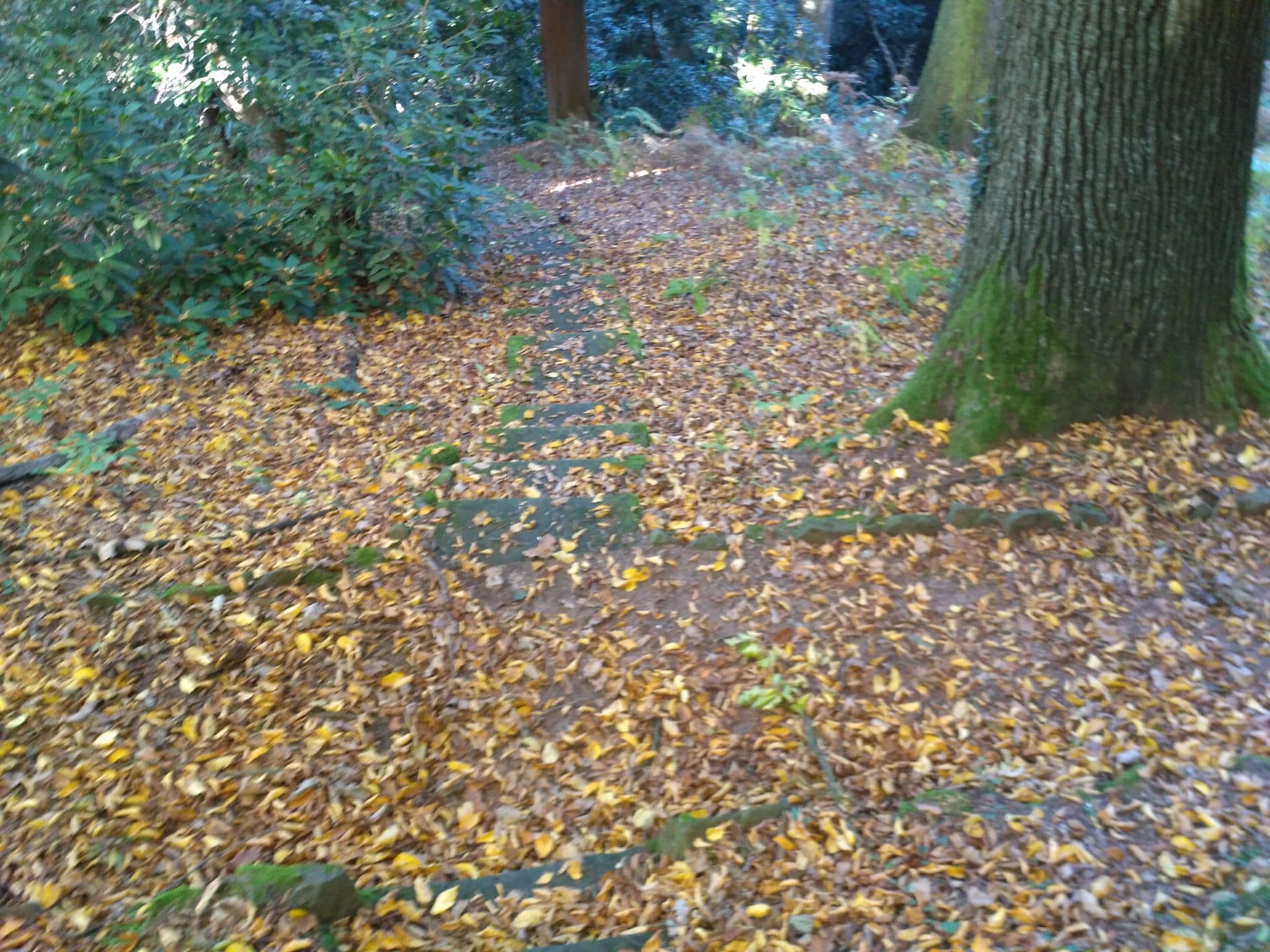 Street view near Ferienhaus Kleine-Bastei, Hohnstein — © yiro (CC BY-SA · Mapillary)