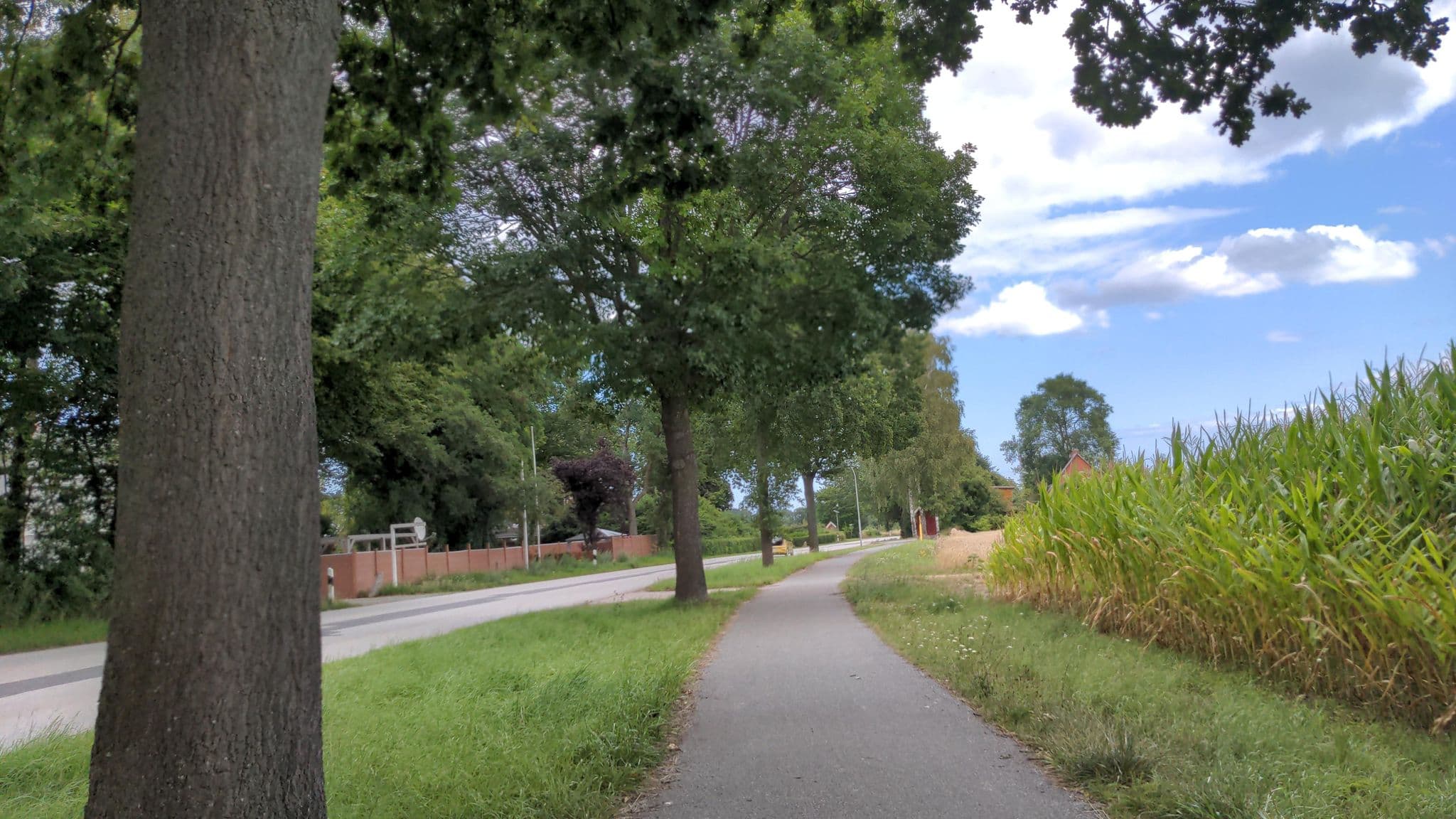 Street view near Stellplatz Henriettenhof-Herrenhaus, Riepsdorf — © rasmustravemnd (CC BY-SA · Mapillary)