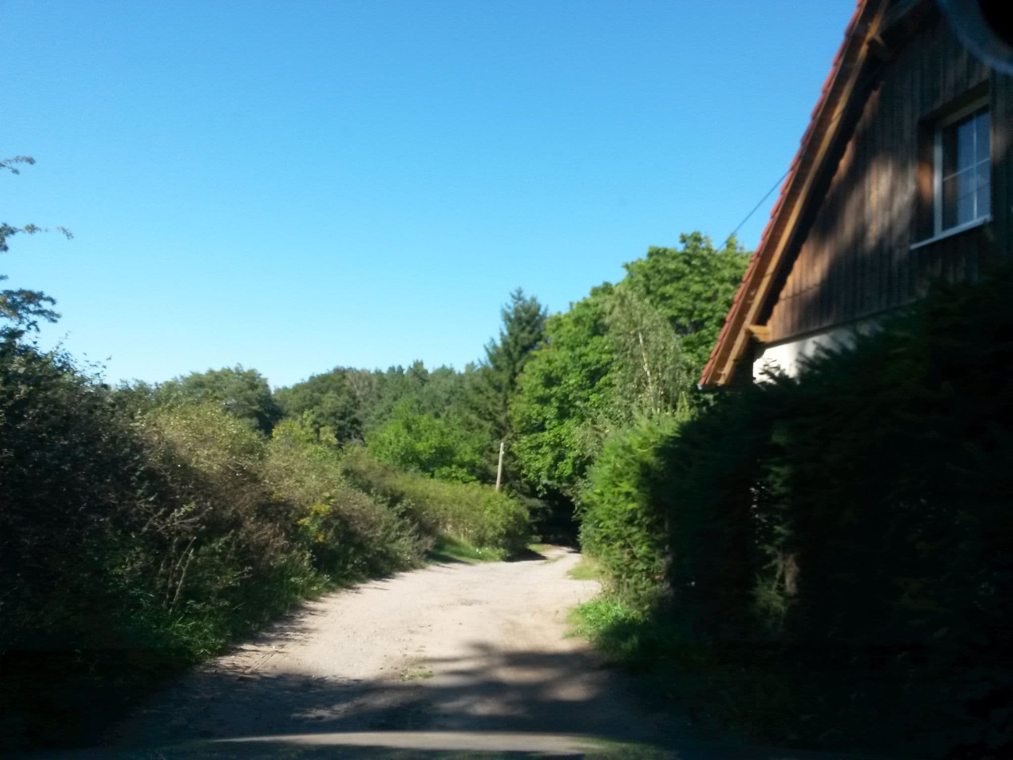 Street view near Forsthaus am Zenssee, Lychen — © rausk (CC BY-SA · Mapillary)