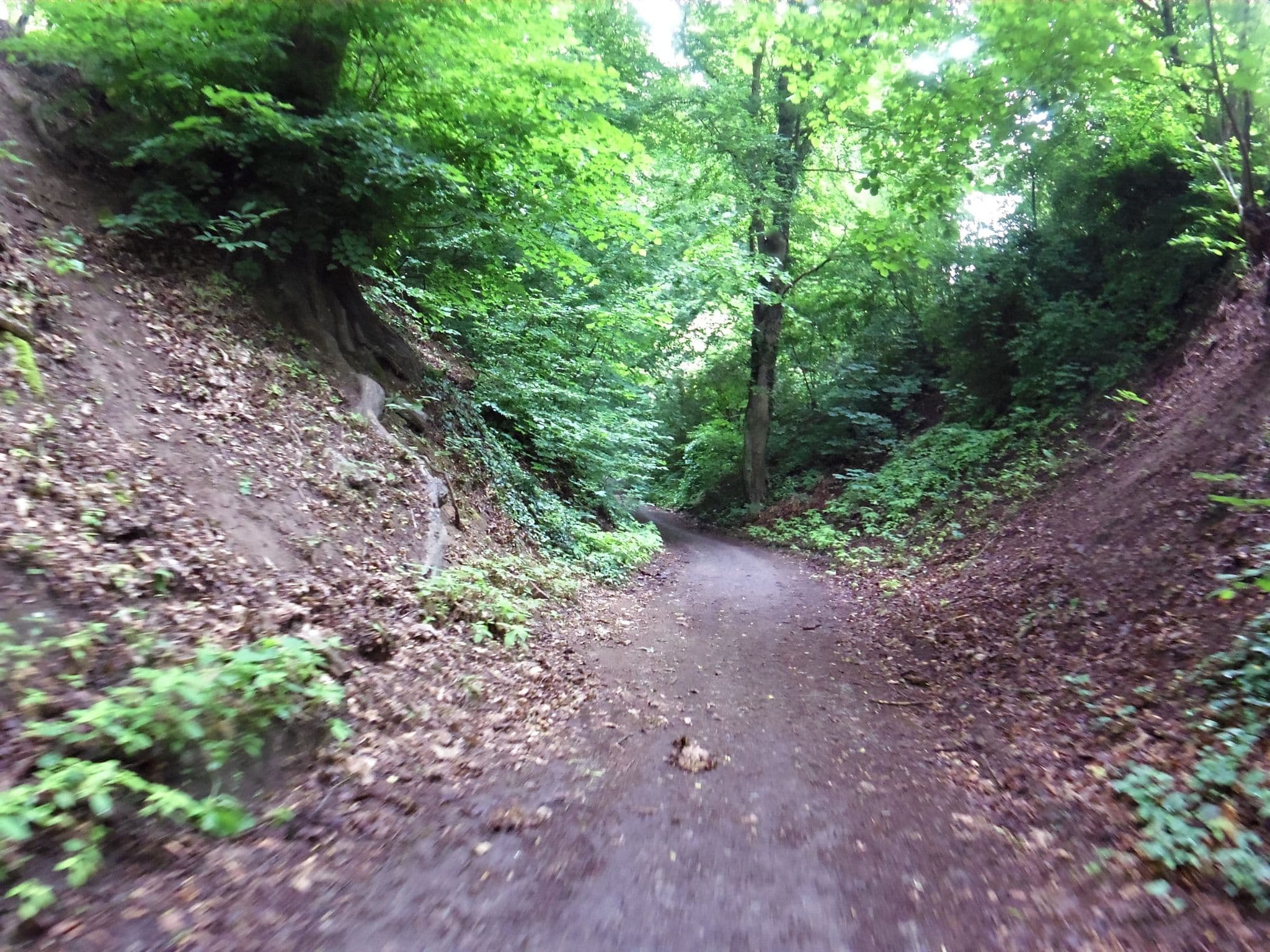 Street view near Alpen-Appartements Hotel Garni, Bad Hersfeld — © zoegglmeyr1 (CC BY-SA · Mapillary)