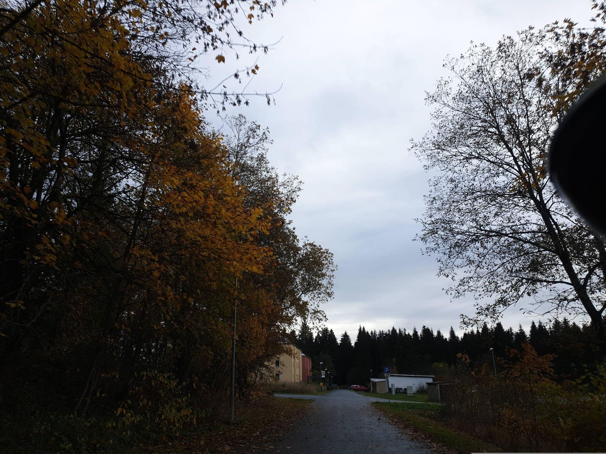 Street view near Villa Schneckenstein, Tannenbergsthal — © canislupus (CC BY-SA · Mapillary)