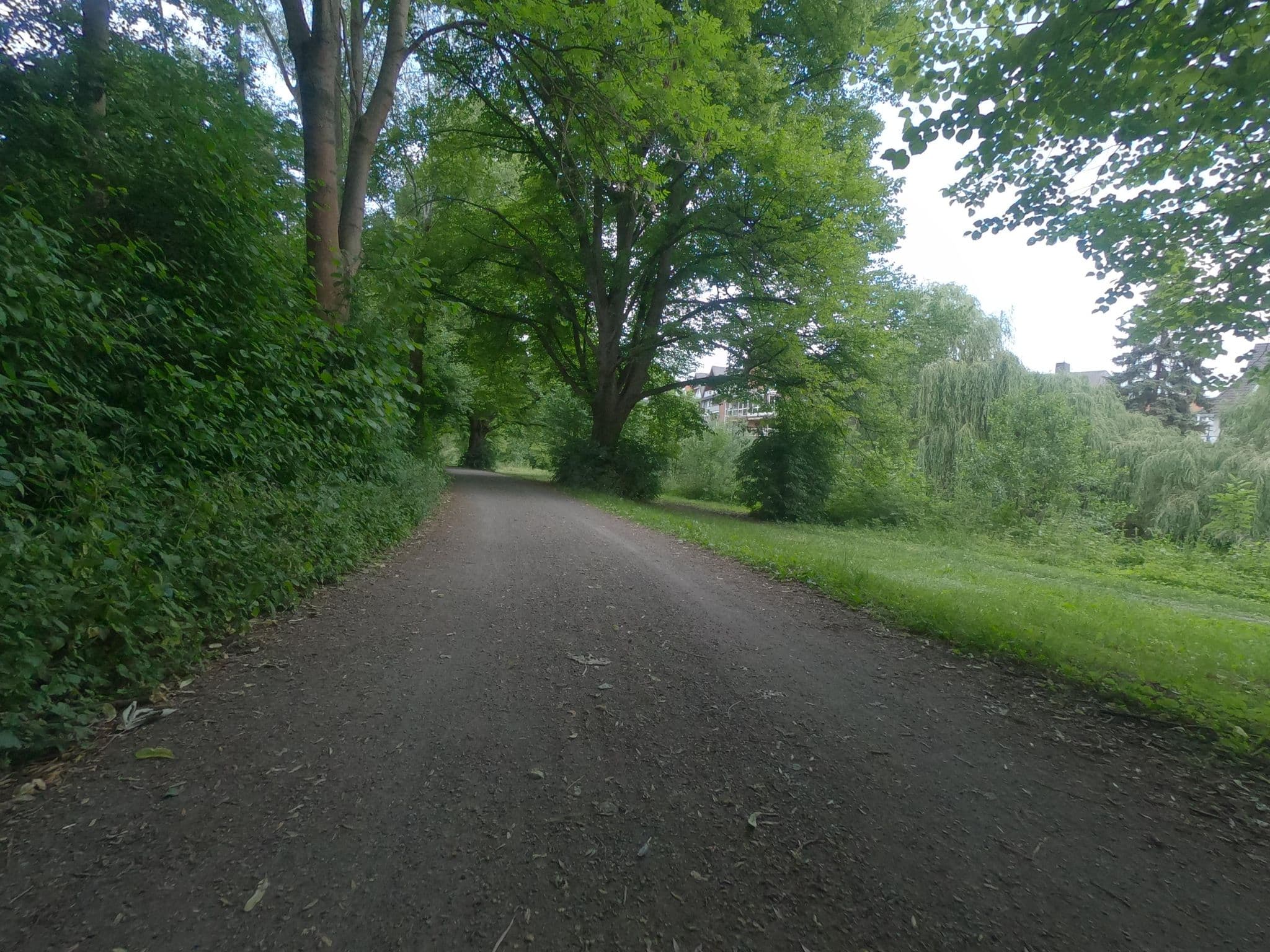 Street view near Wohnmobilstellplatz Hohnsensee, Hildesheim — © frankvival (CC BY-SA · Mapillary)