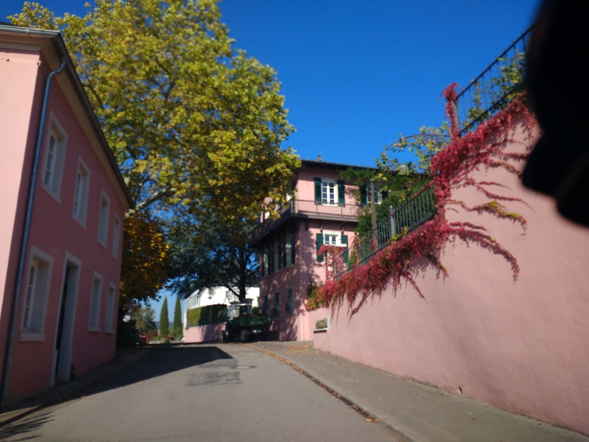 Street view near Weingut Reverchon, Wiltingen — © igdb (CC BY-SA · Mapillary)