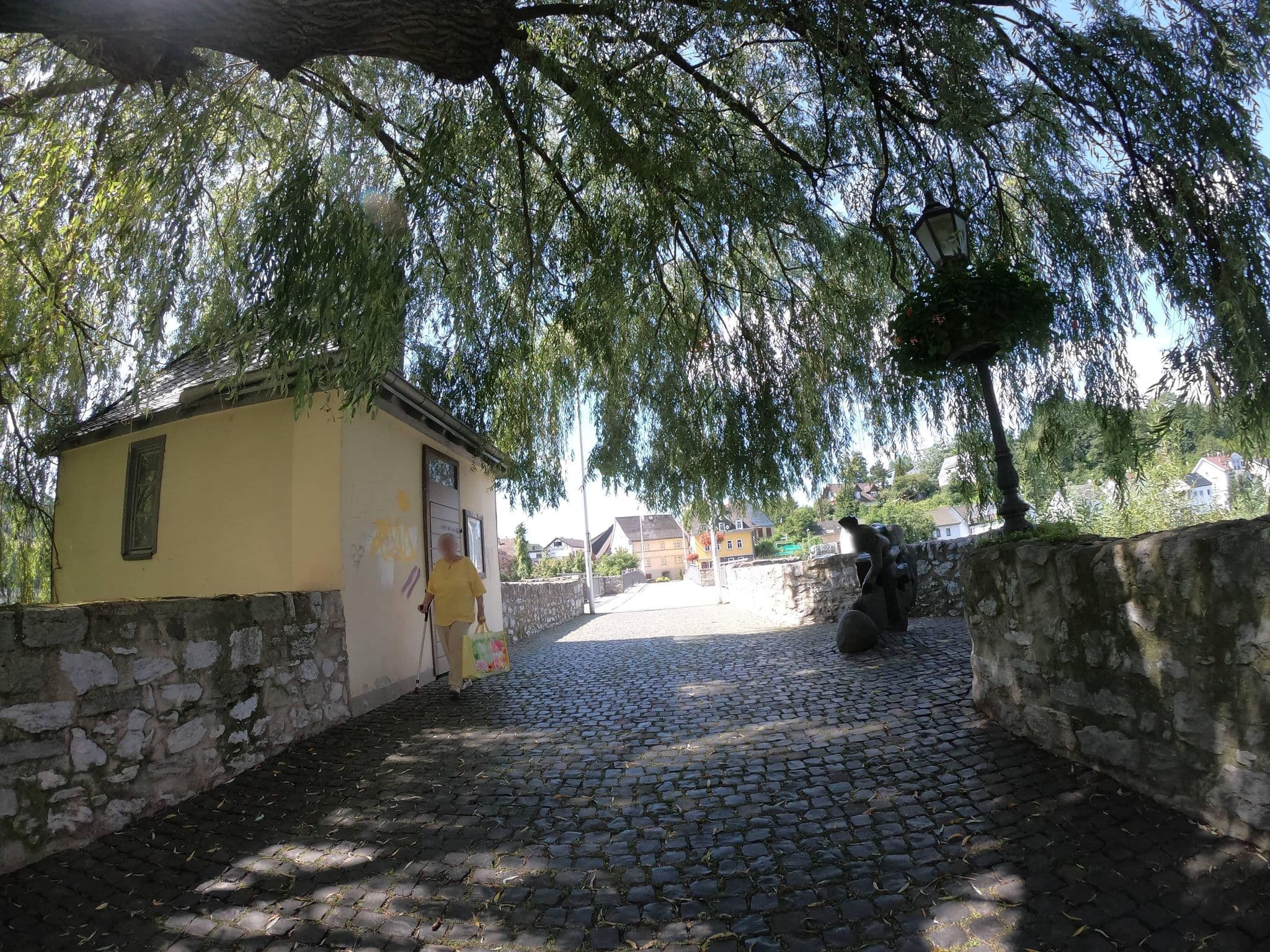 Street view near Haus Monreal, Diez — © grinninghamster (CC BY-SA · Mapillary)