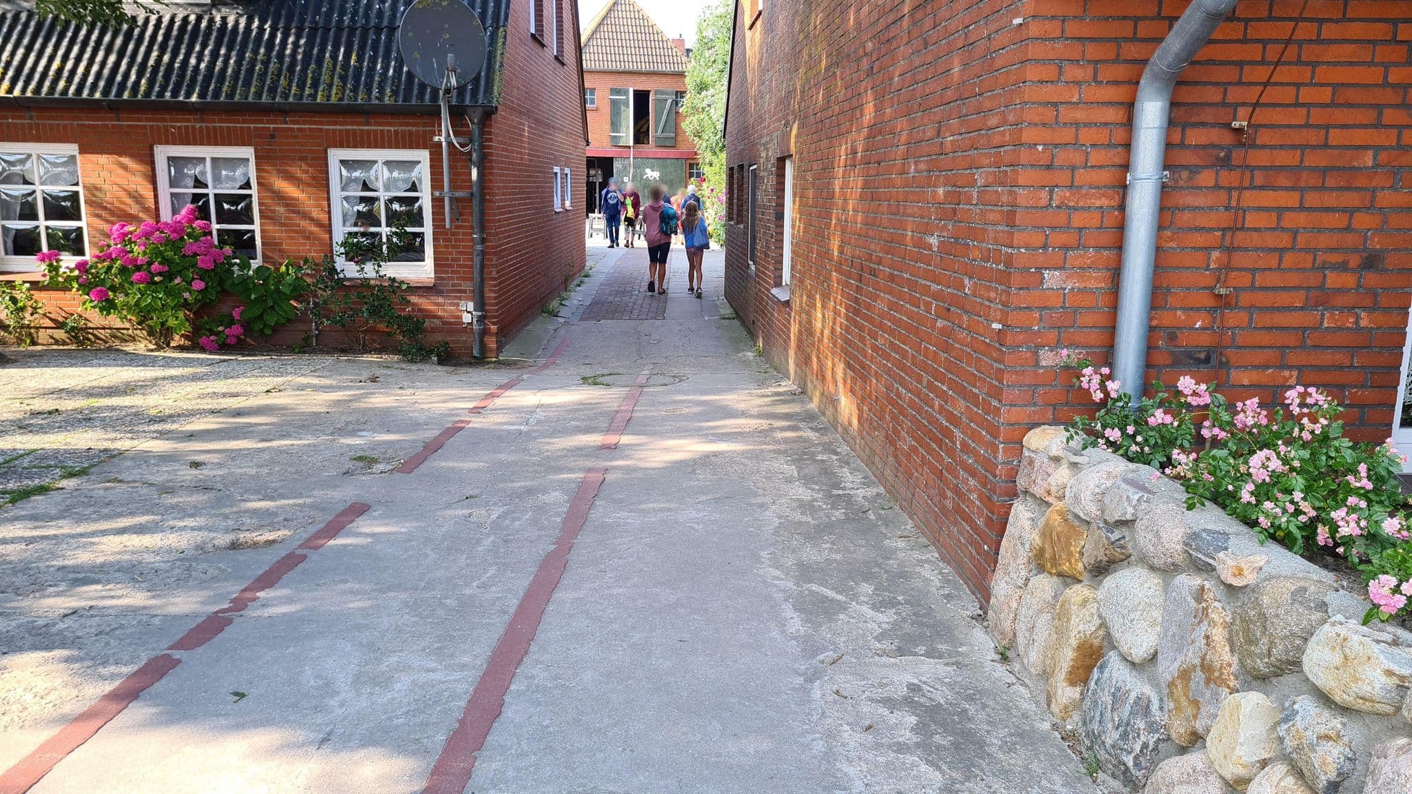 Street view near Hus Halligblick, Pellworm — © dsmm (CC BY-SA · Mapillary)