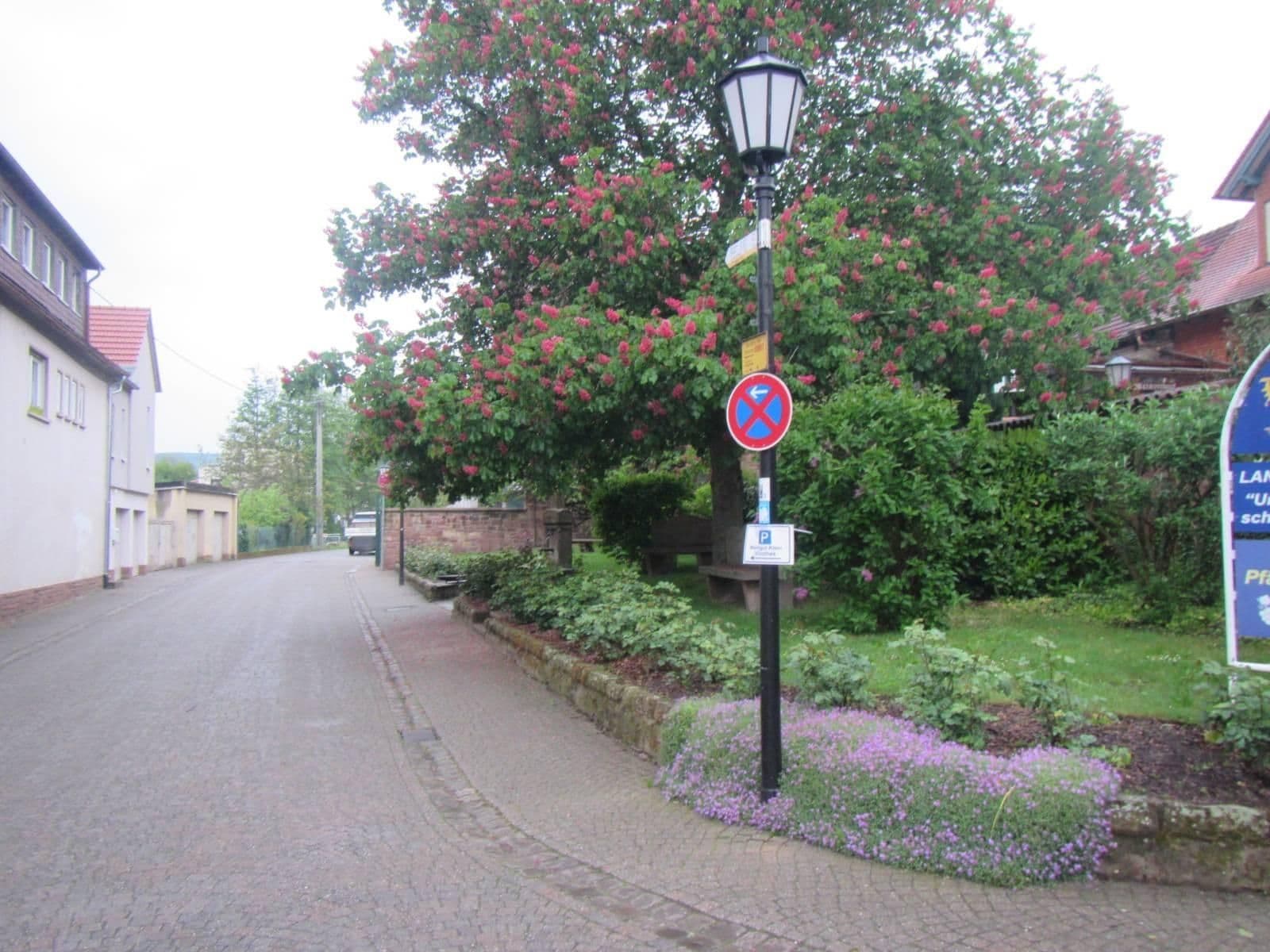 Street view near Weingut-Ferienhof Andreas Weisbrod, Rhodt unter Rietburg — © VIA_TZ (CC BY-SA · Mapillary)