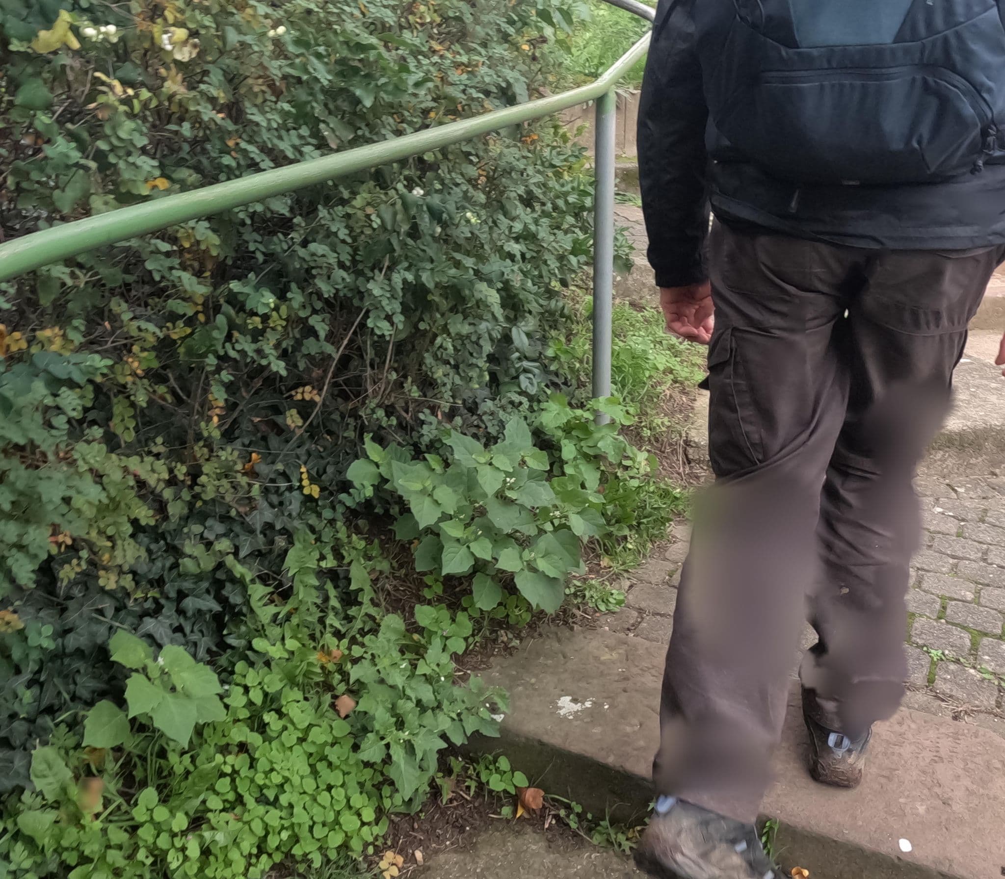 Street view near Mainterrasse, Miltenberg — © chuck (CC BY-SA · Mapillary)