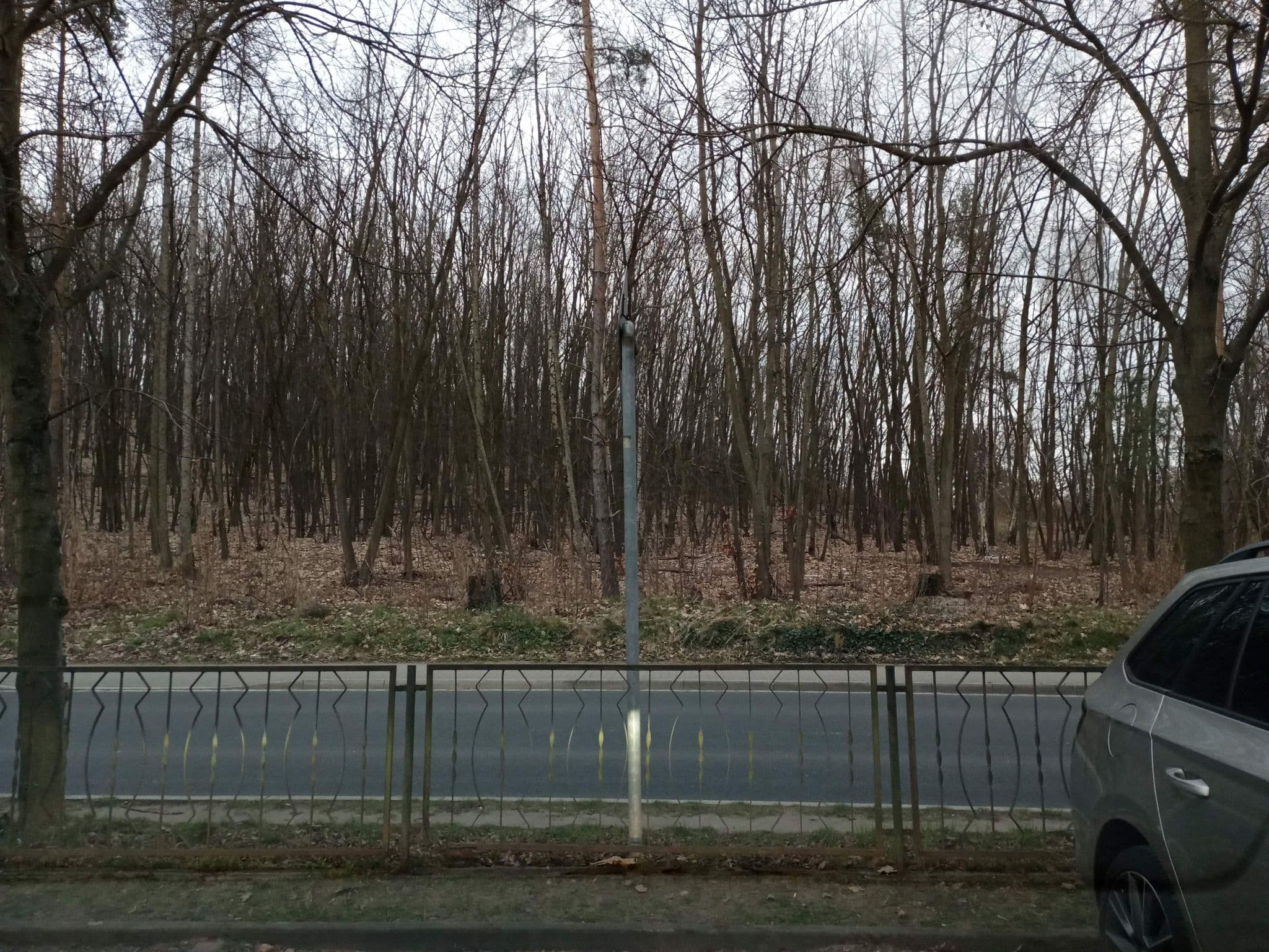 Street view near Spitzgrundmühle, Coswig — © atze02 (CC BY-SA · Mapillary)