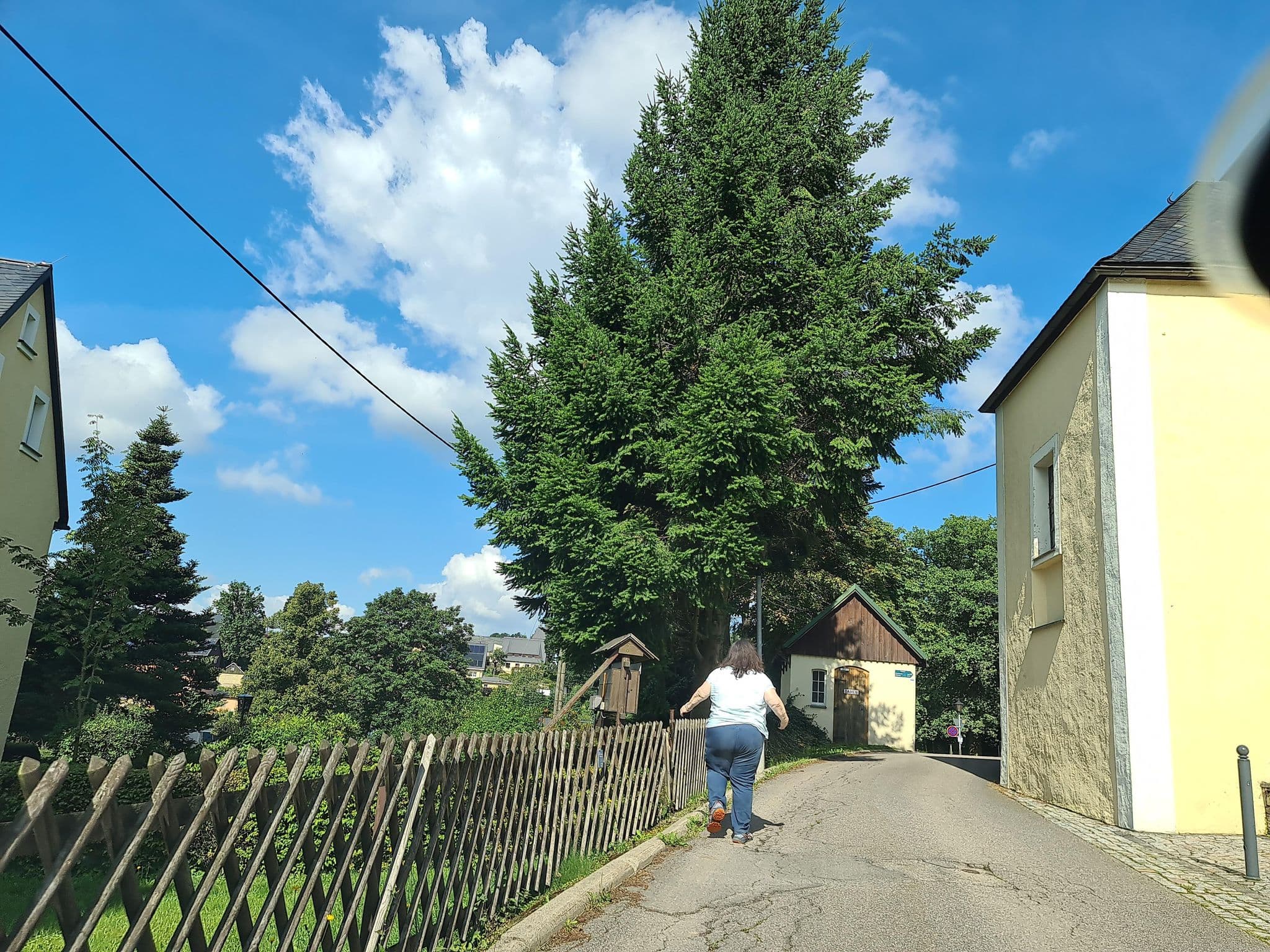 Street view near Ferienwohnung Bergkirche, Seiffen — © canislupus (CC BY-SA · Mapillary)