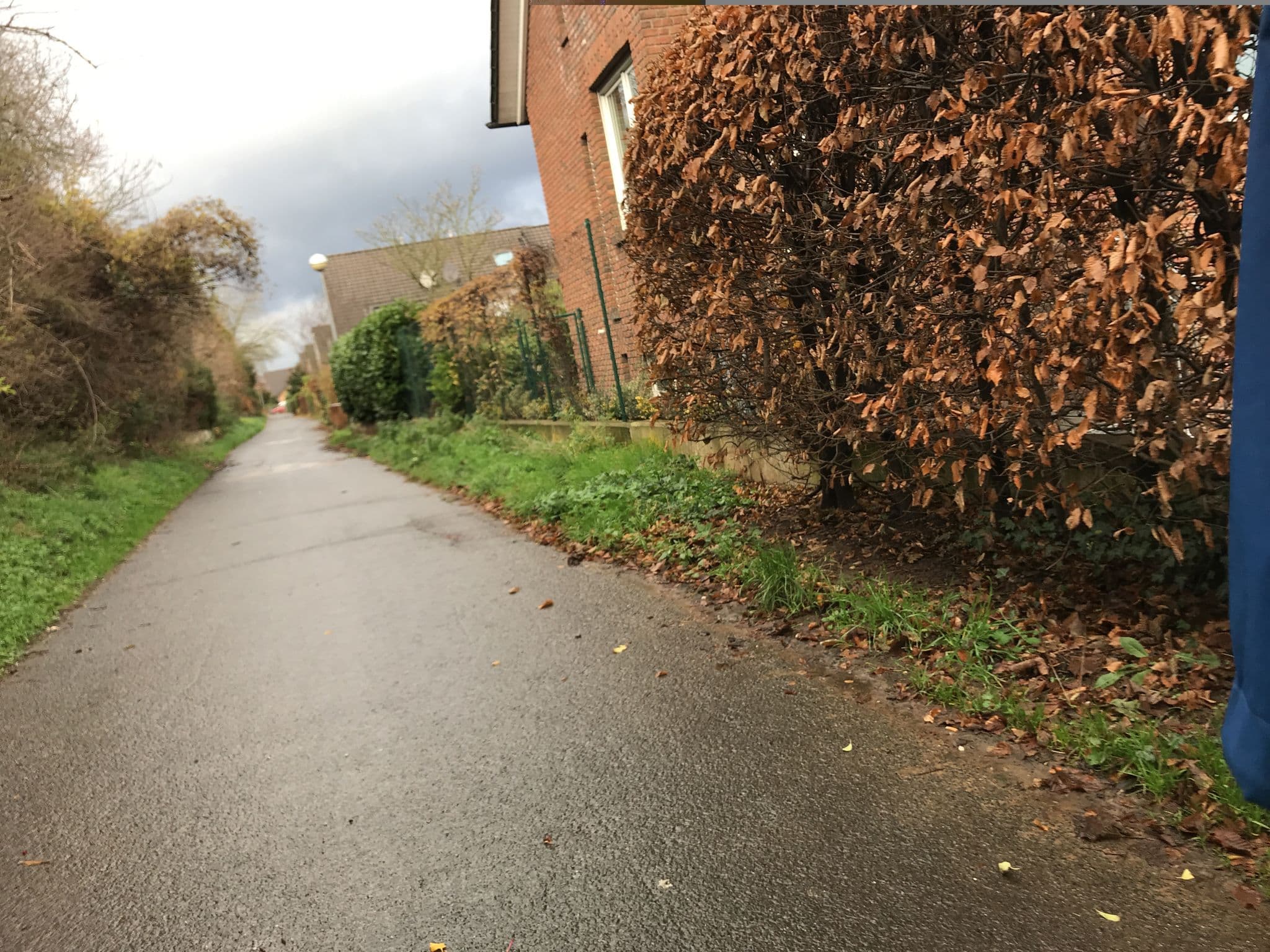 Street view near Apartment Köln-Bonn, Wesseling — © miguel_andrade (CC BY-SA · Mapillary)